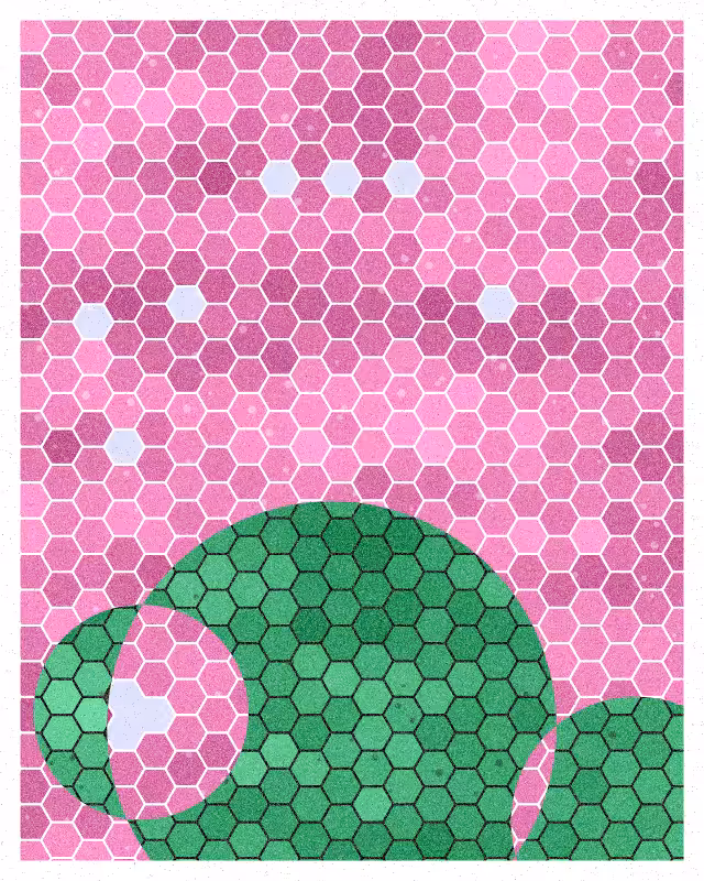 Esagoni #36