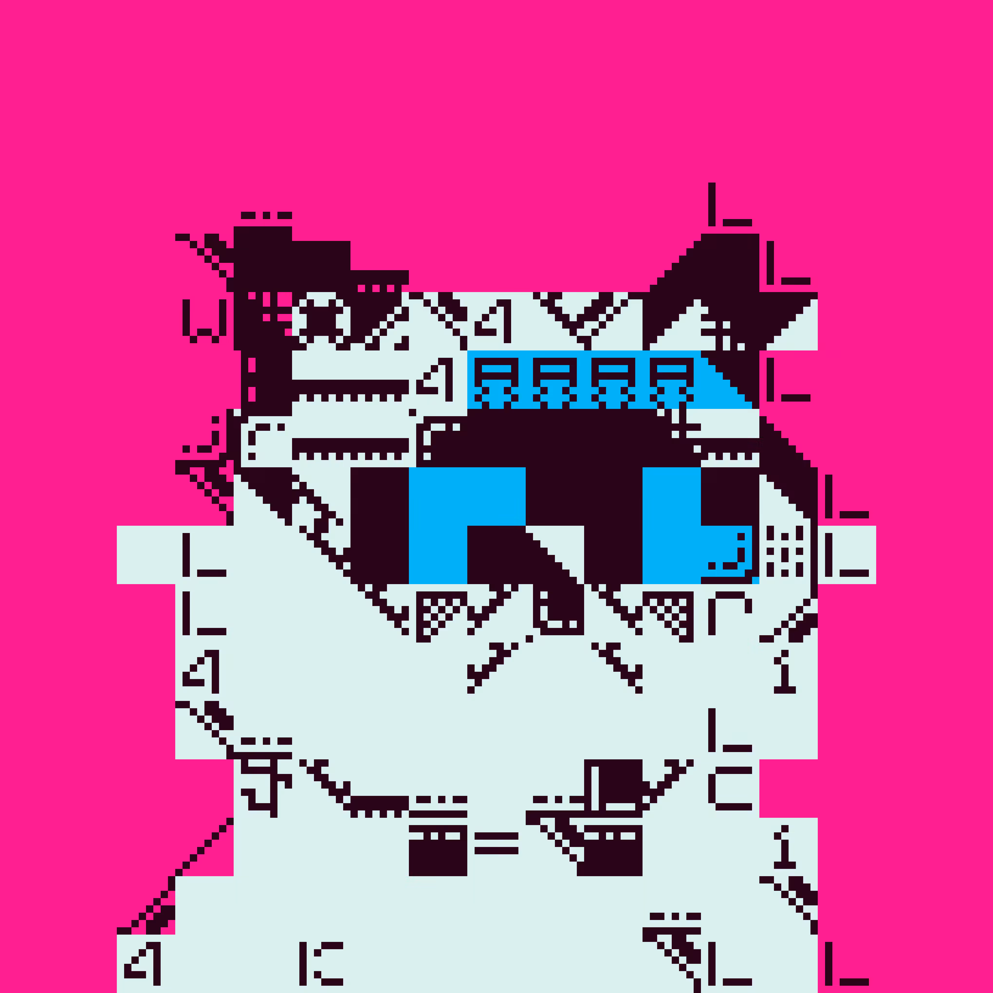 MIGGLES ON ASCII: CacheOverflow