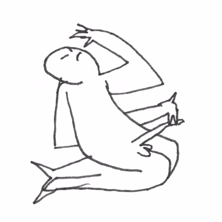 Contortionist #19 - Snif Snif