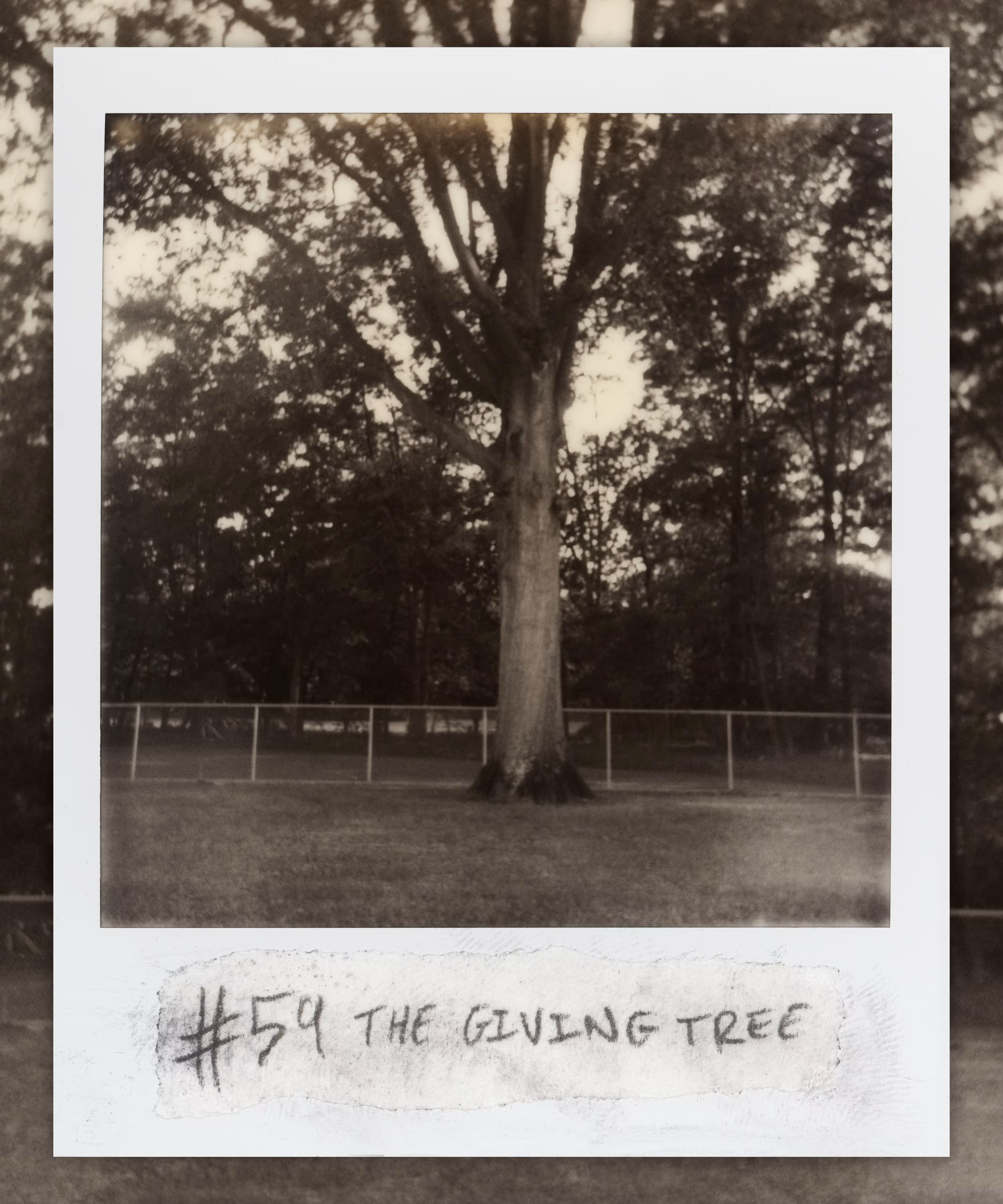 #59 THE GIVING TREE