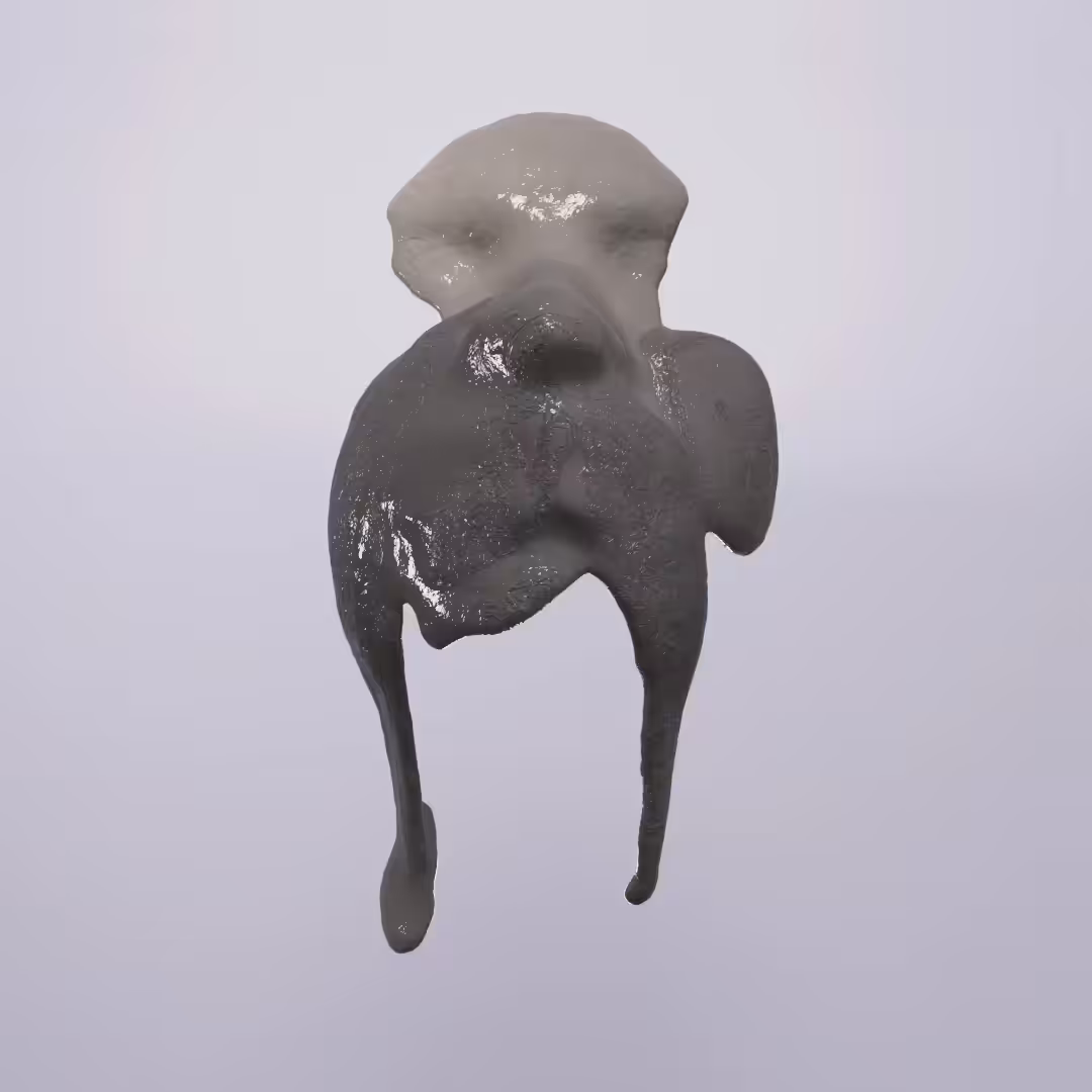 mud mask