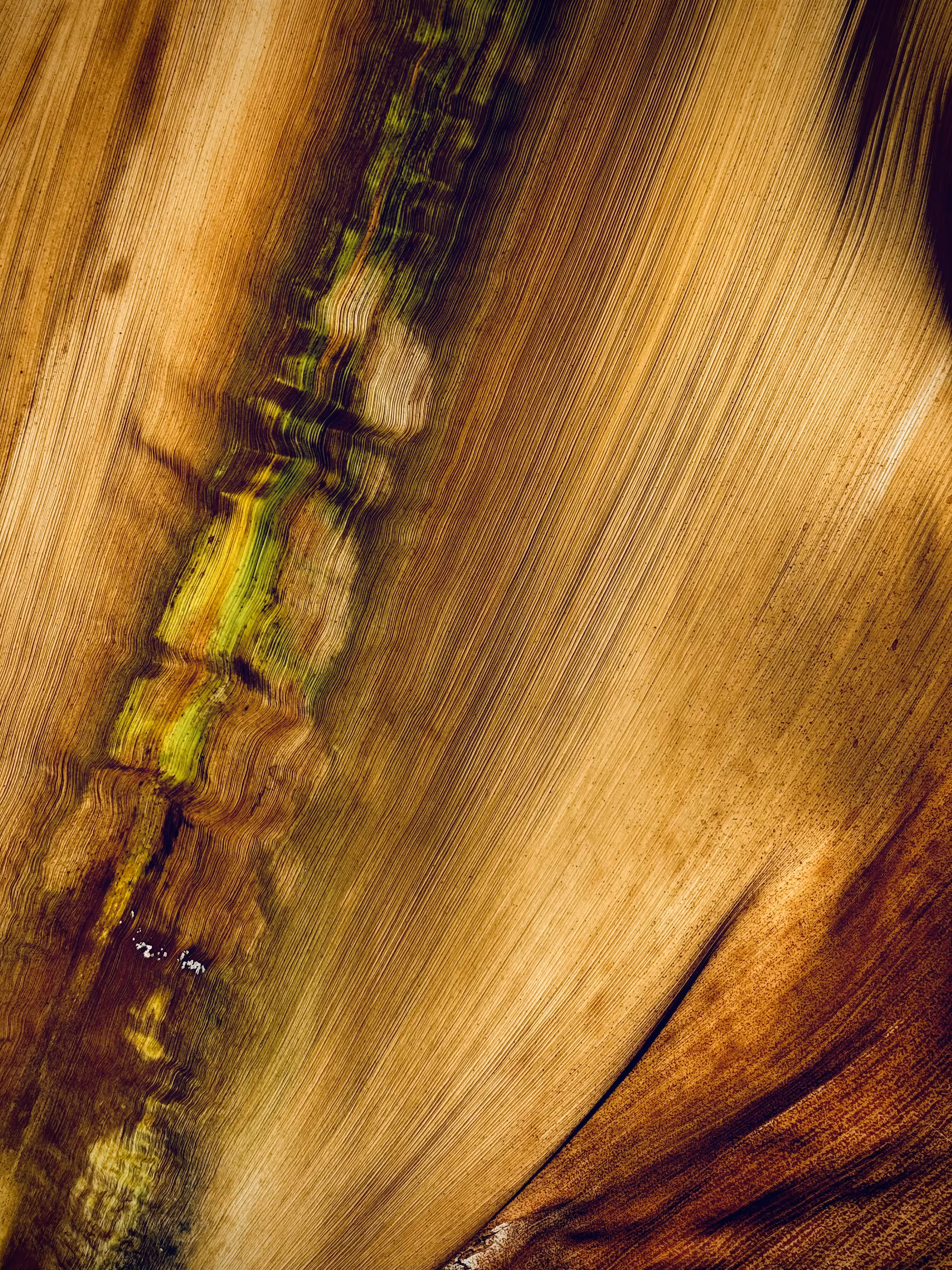 nature texture