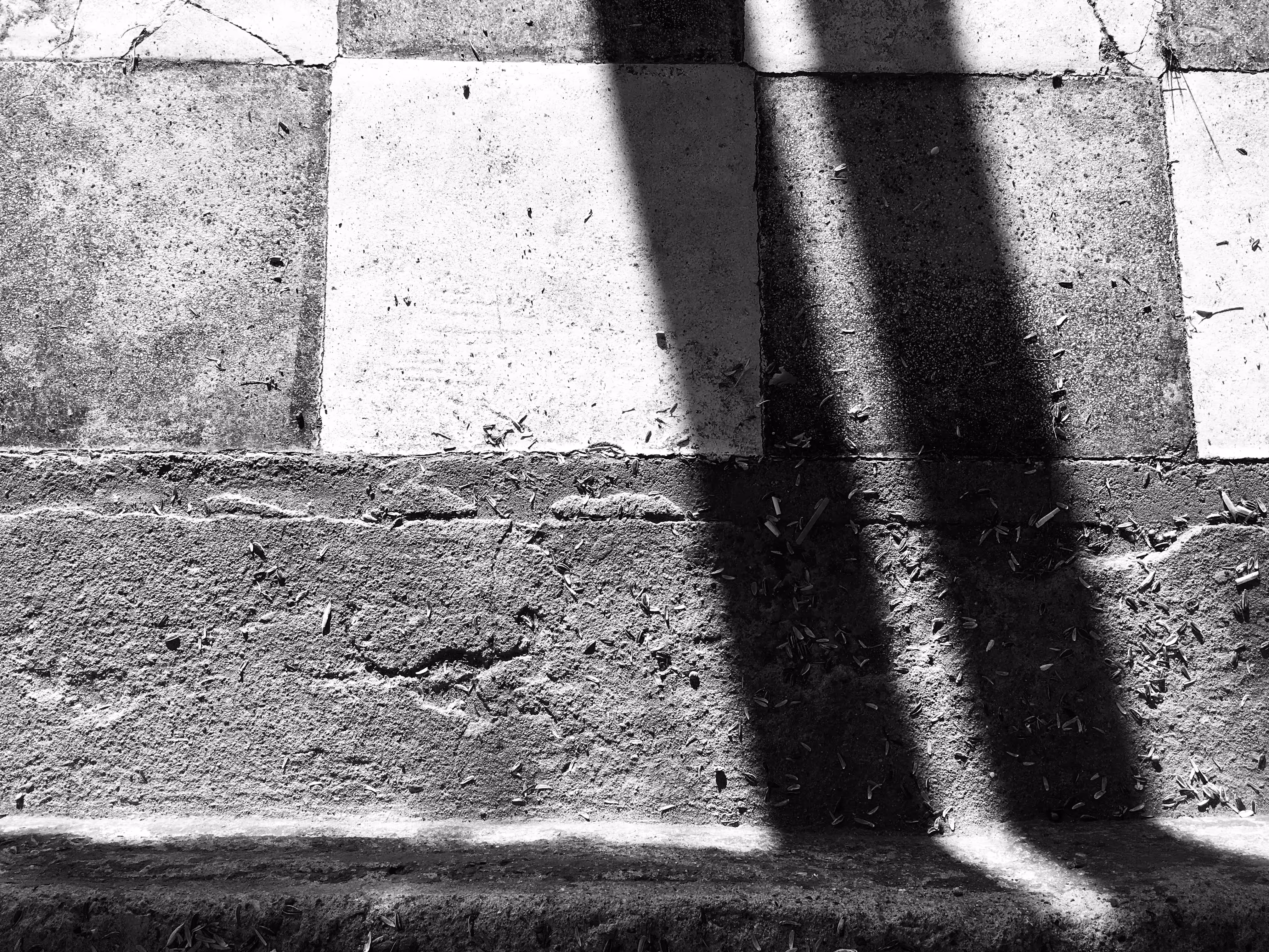 lines