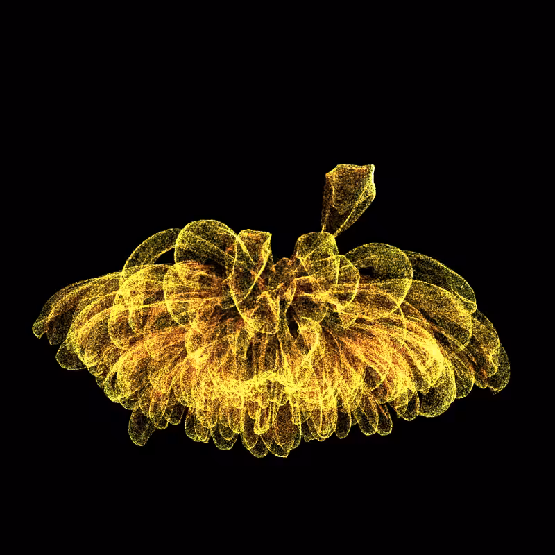 Chrysanthemum Morifolium 30 #9