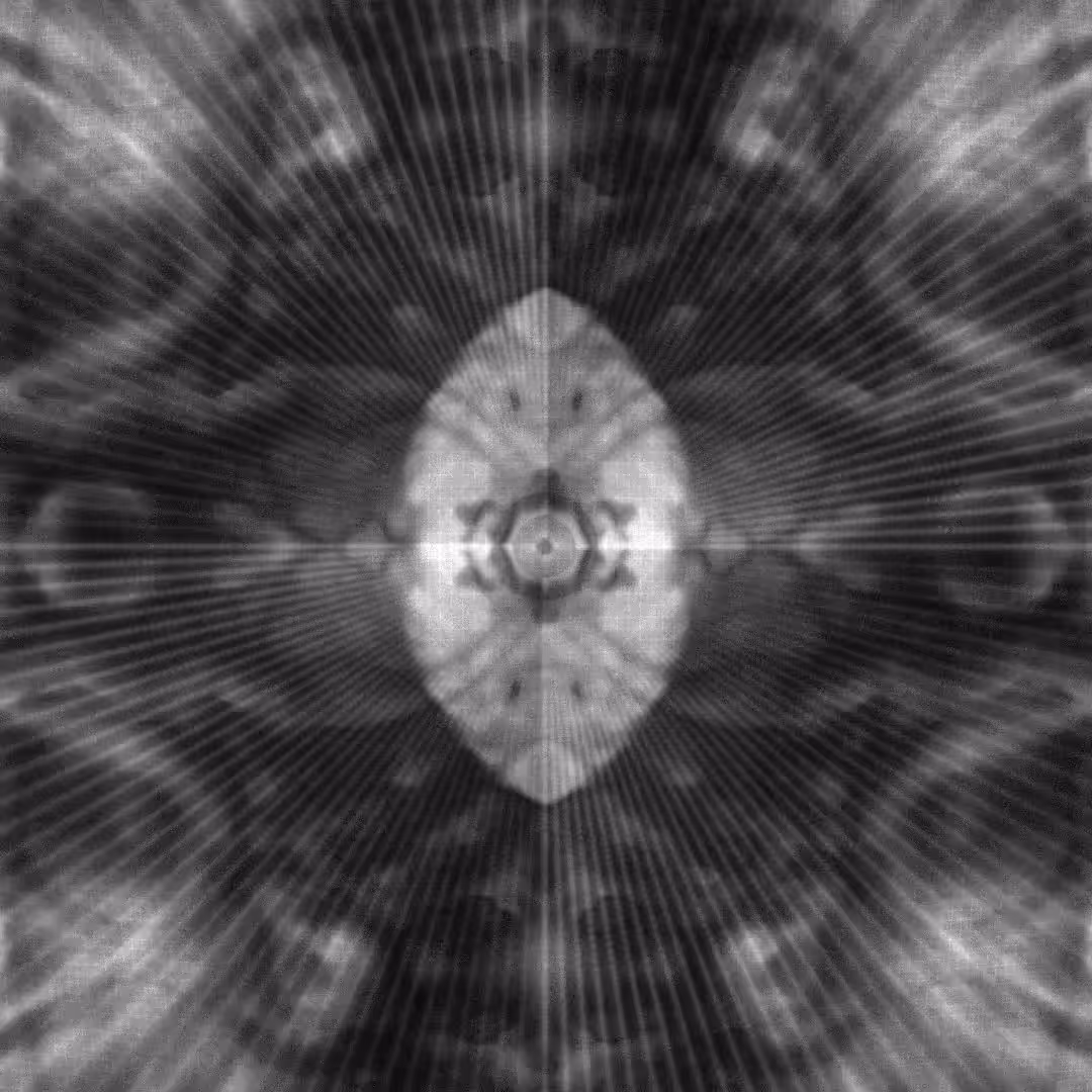 biomatrix core