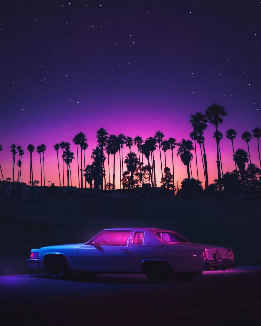 MIAMI NIGHTS I