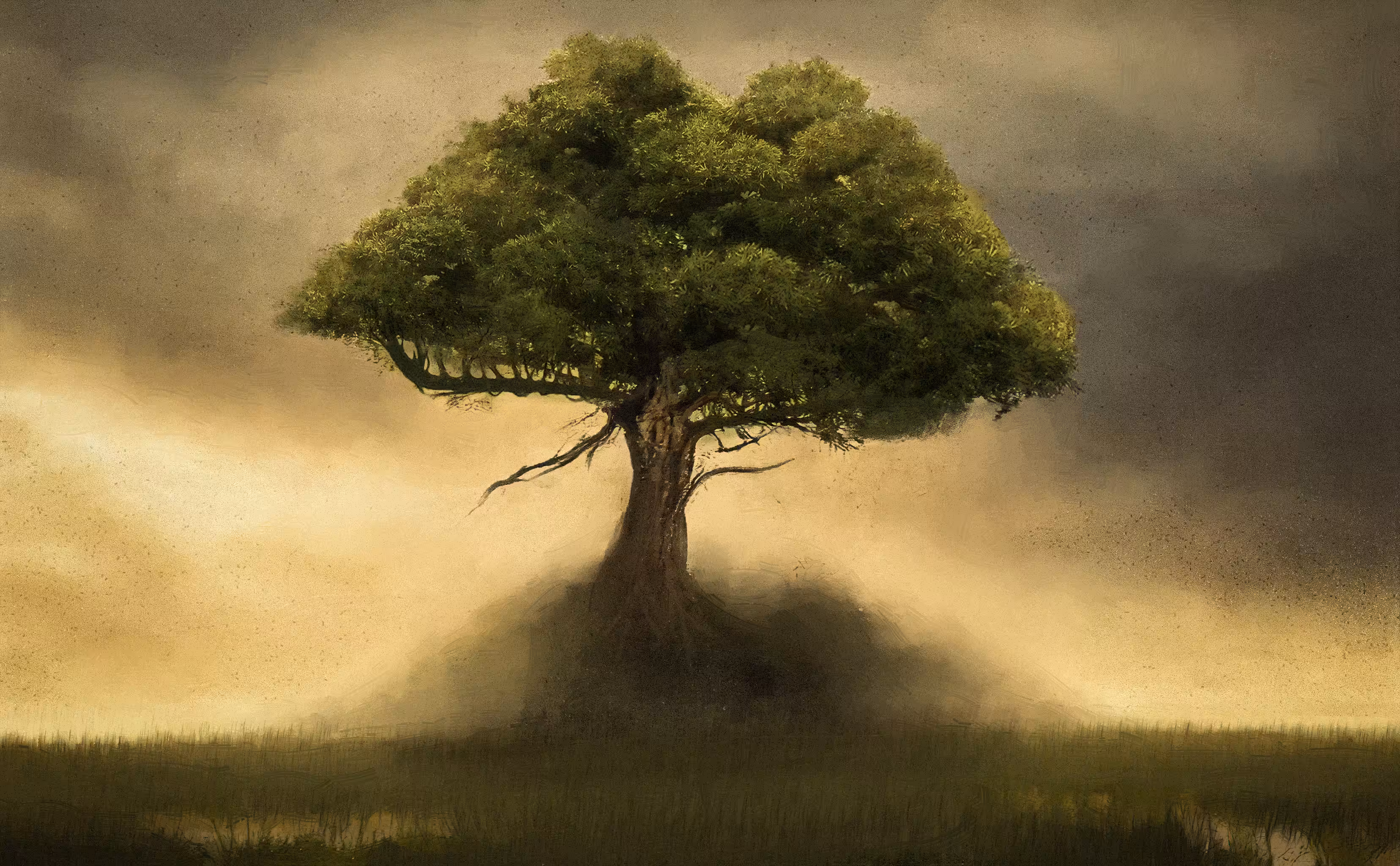 Tree Of Life