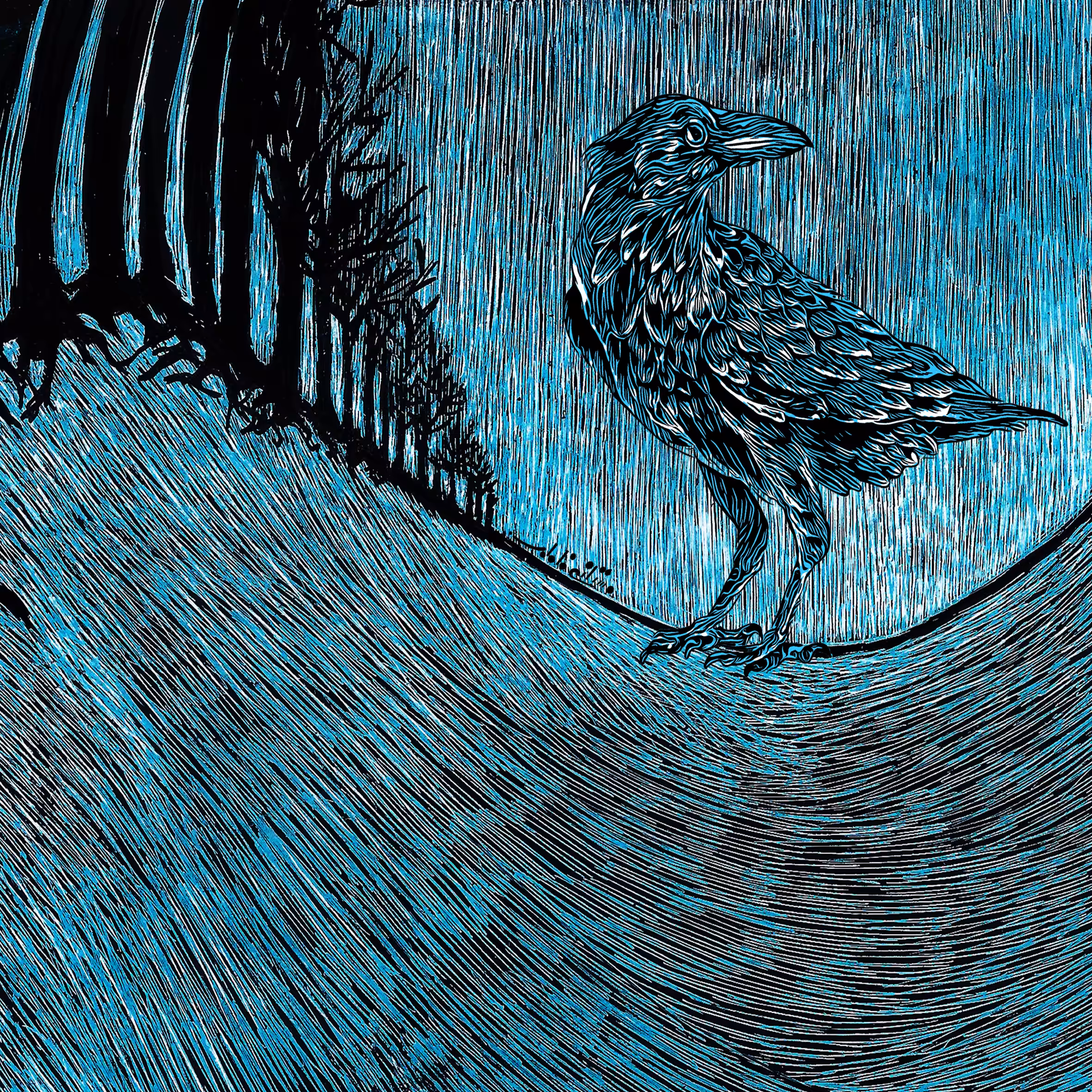 “Blue Echo”