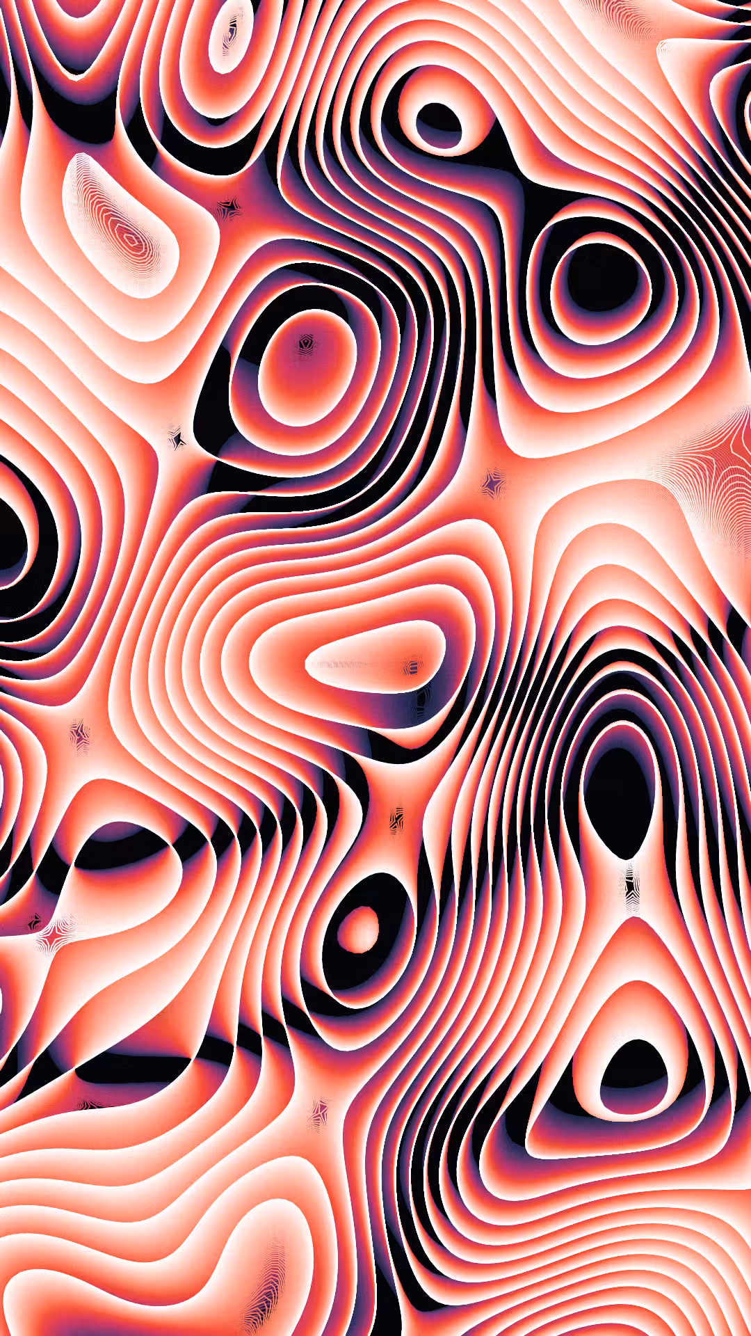 FLUID #5
