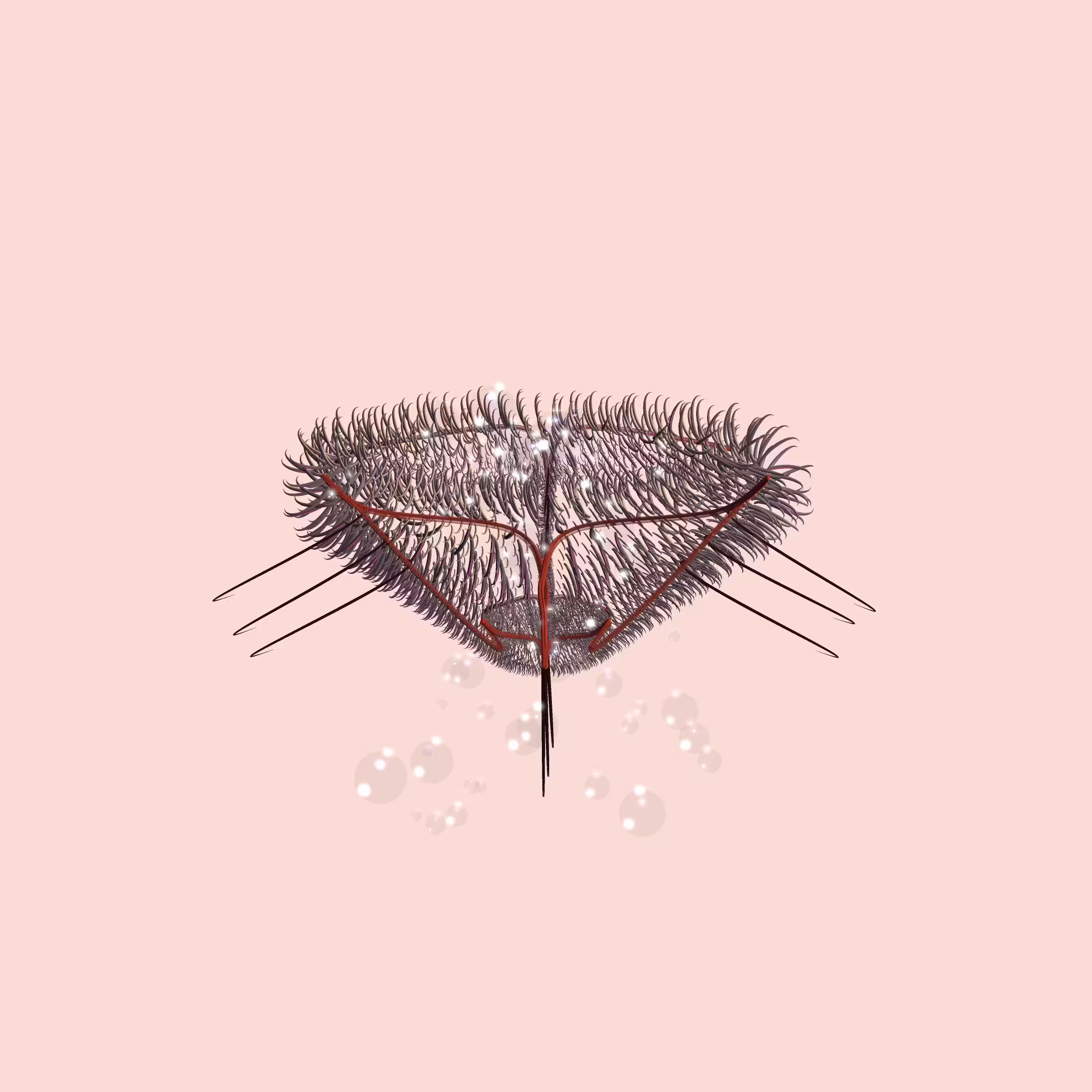 Lycorises #29