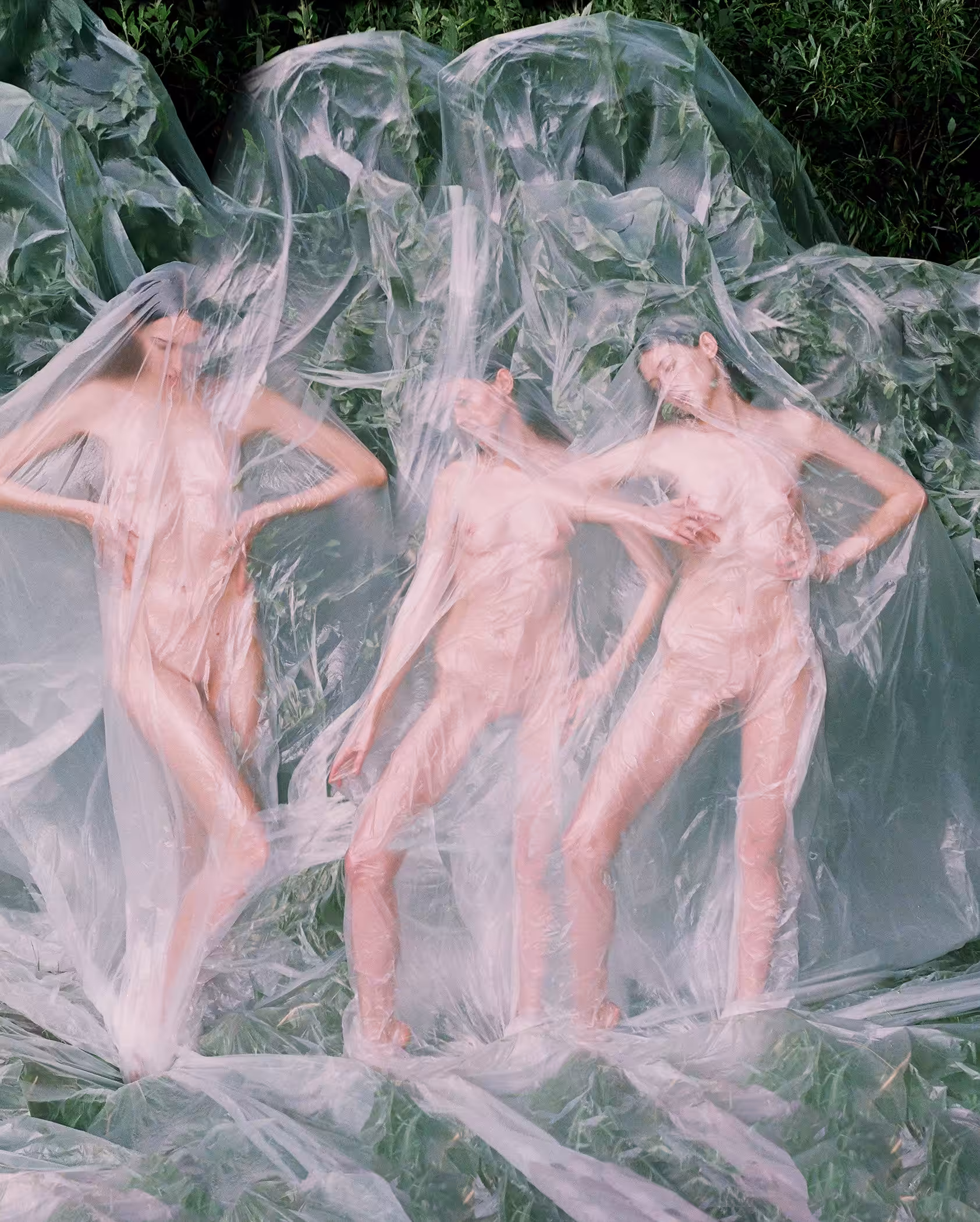 Nature Twins #20