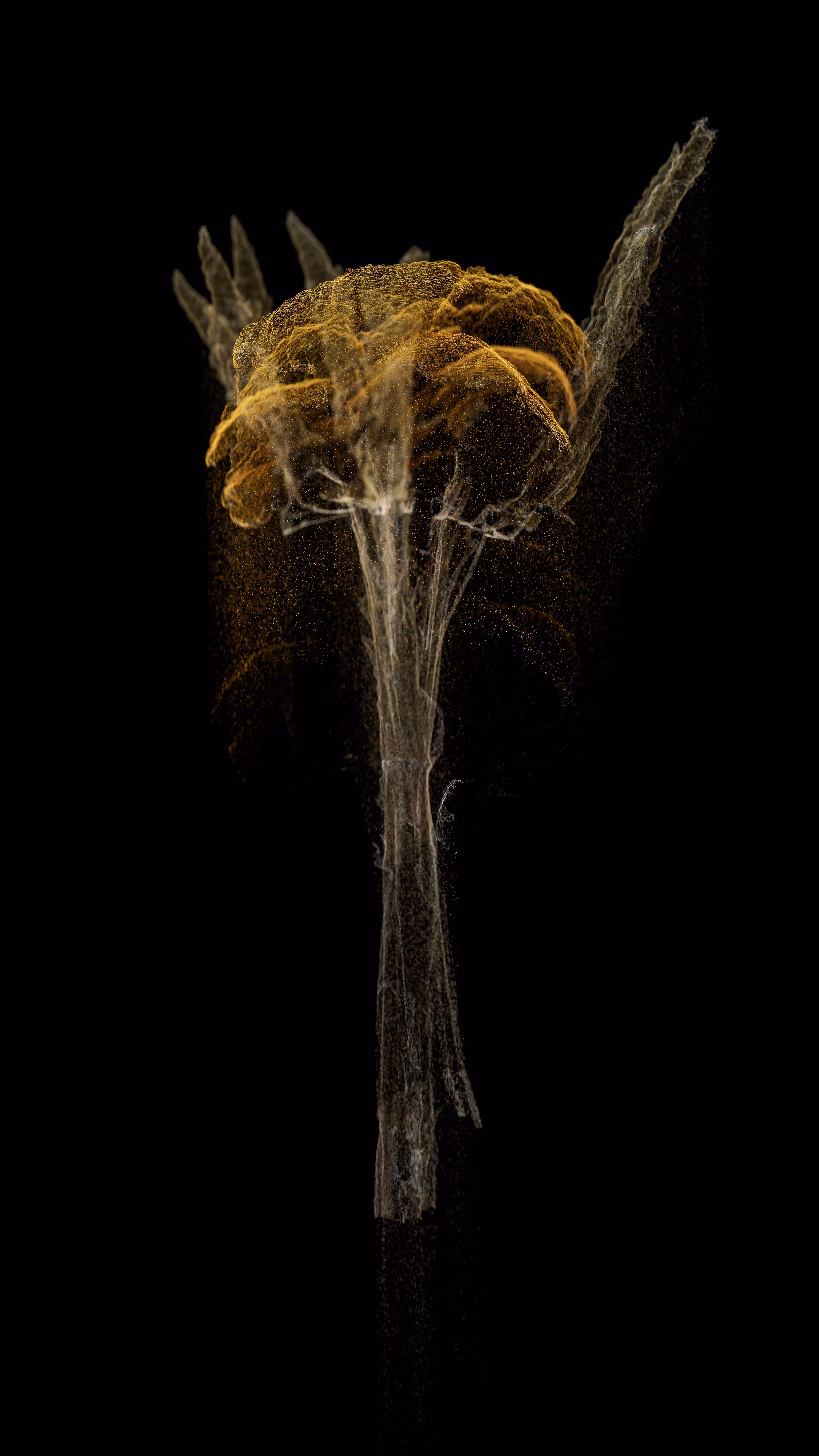 Cloudburst #12