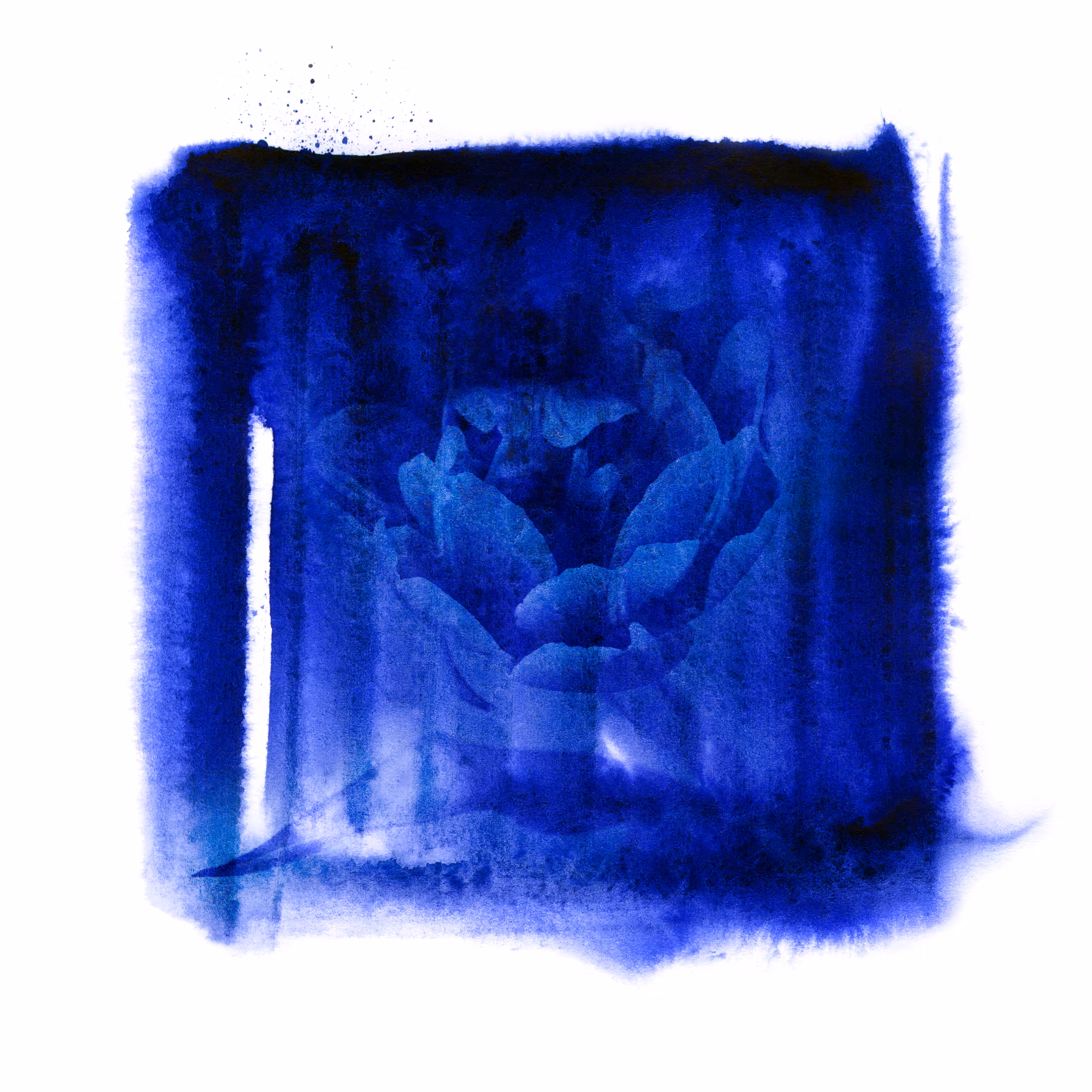 Blues garden #13