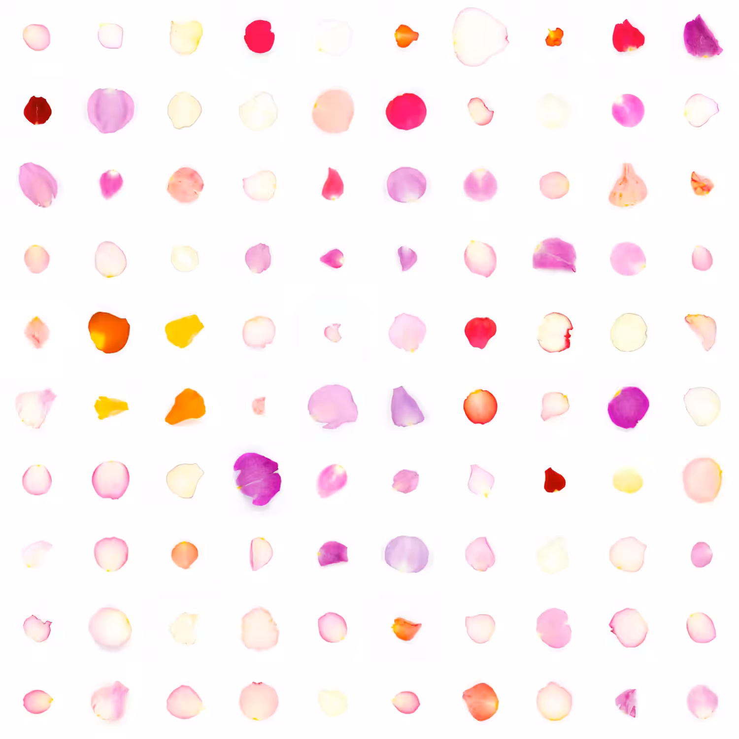 Infinite Petals 10x10#522