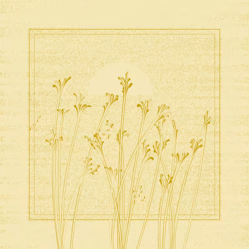string_pllu #5
