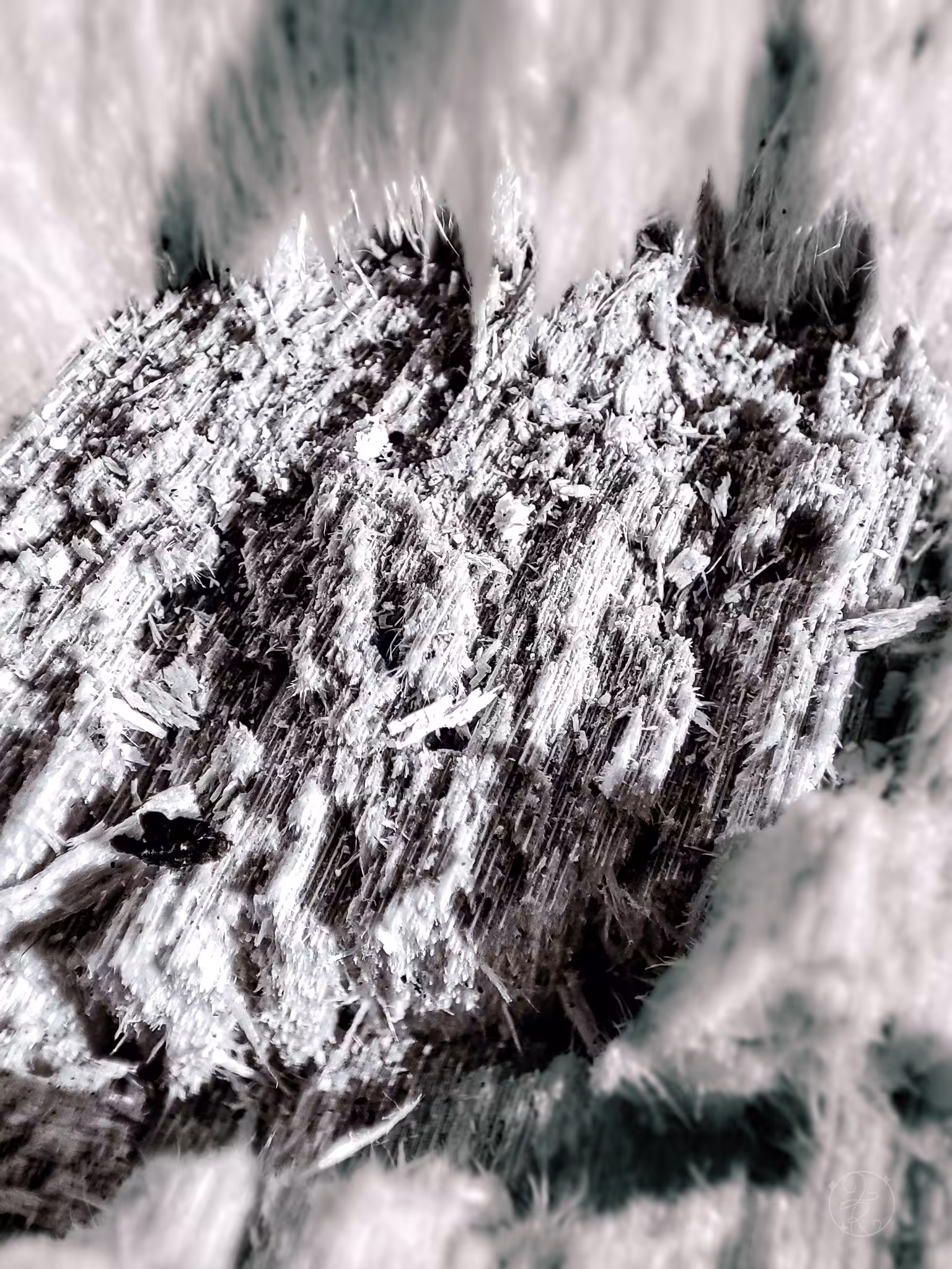 Beneath the clouds