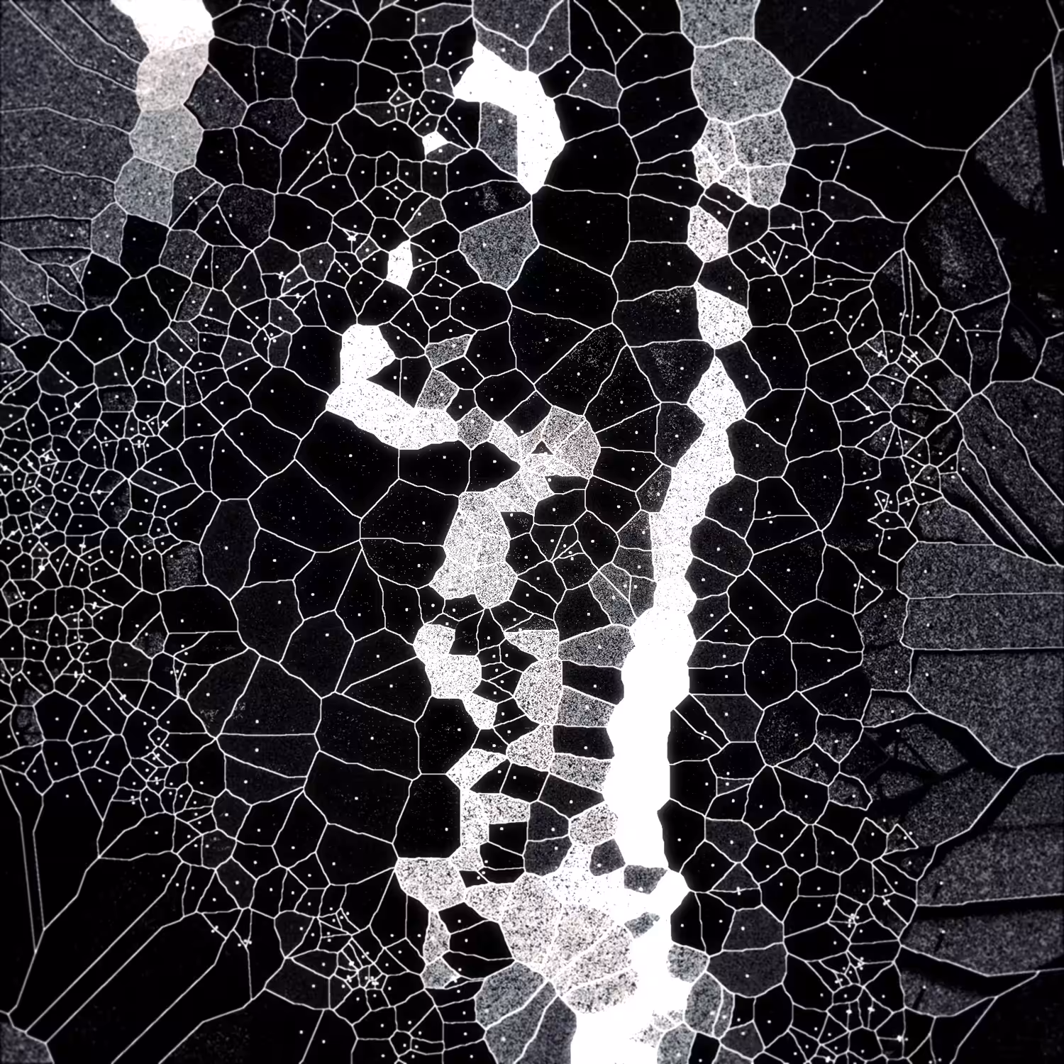Voronoi Syndrome 01