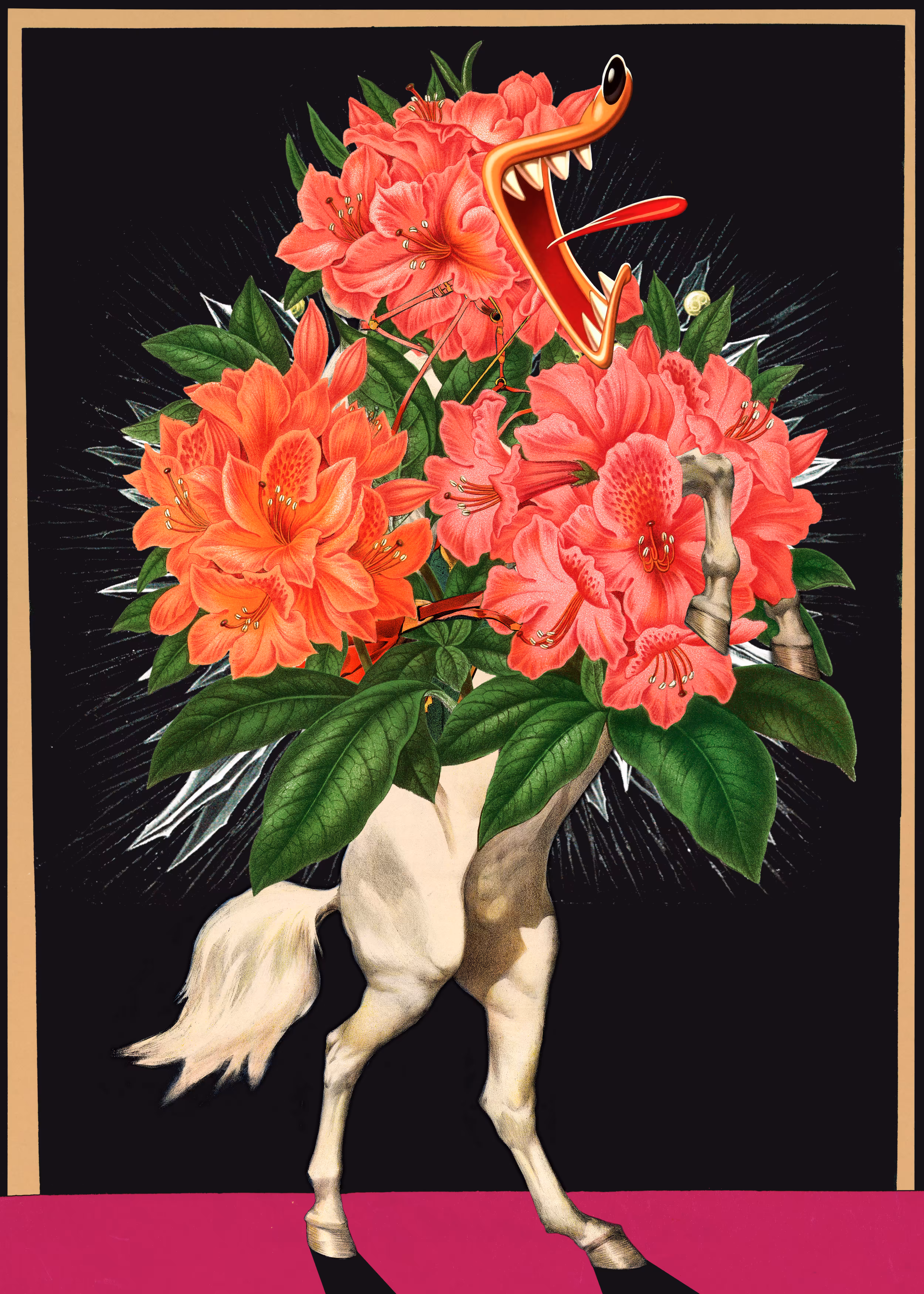 Barking Horse