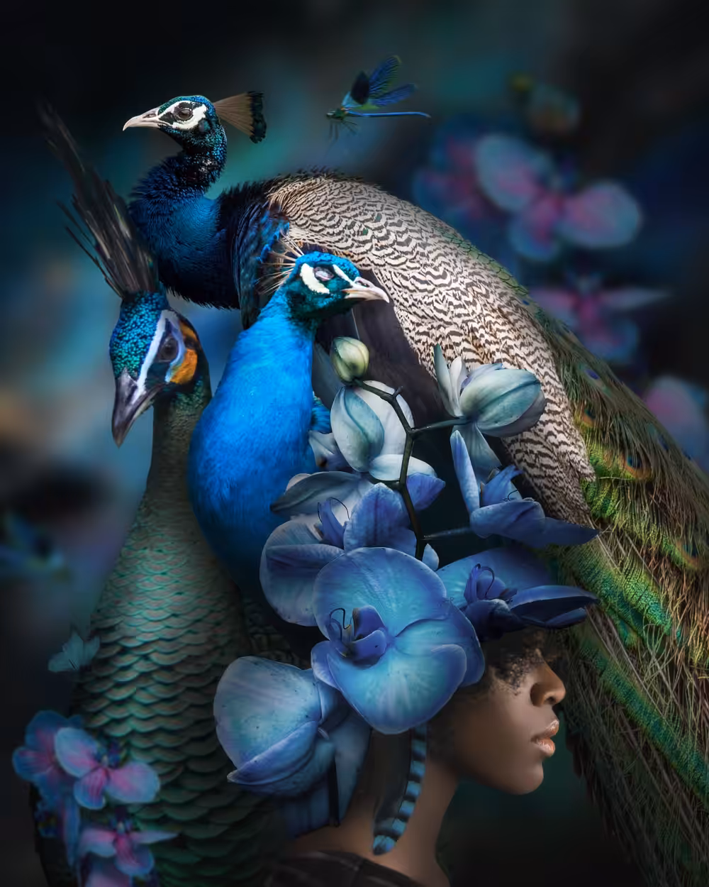 Her Nature - Peacock