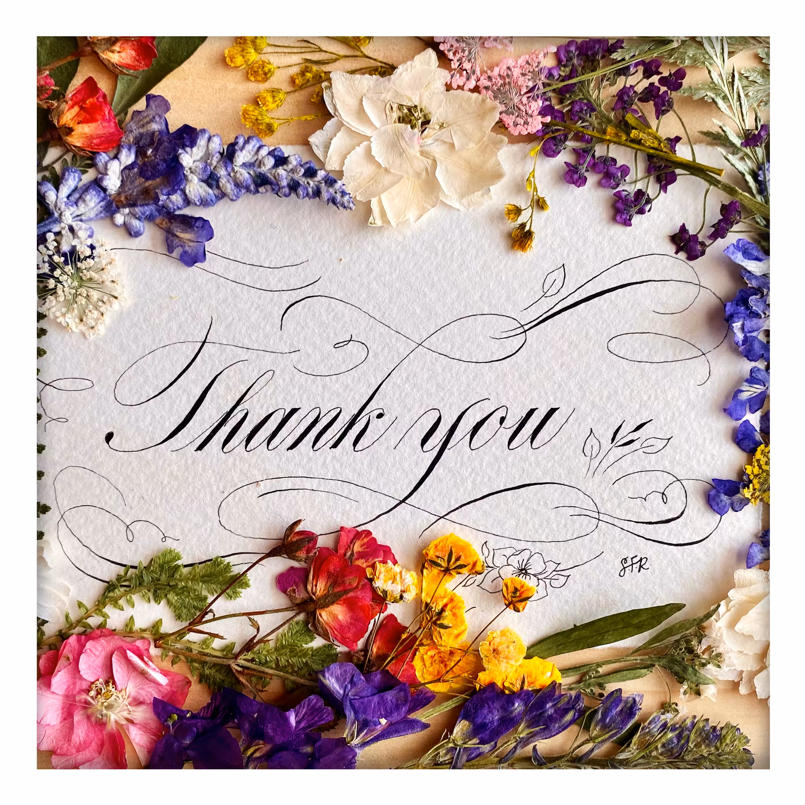 Thank You by Sarah Script