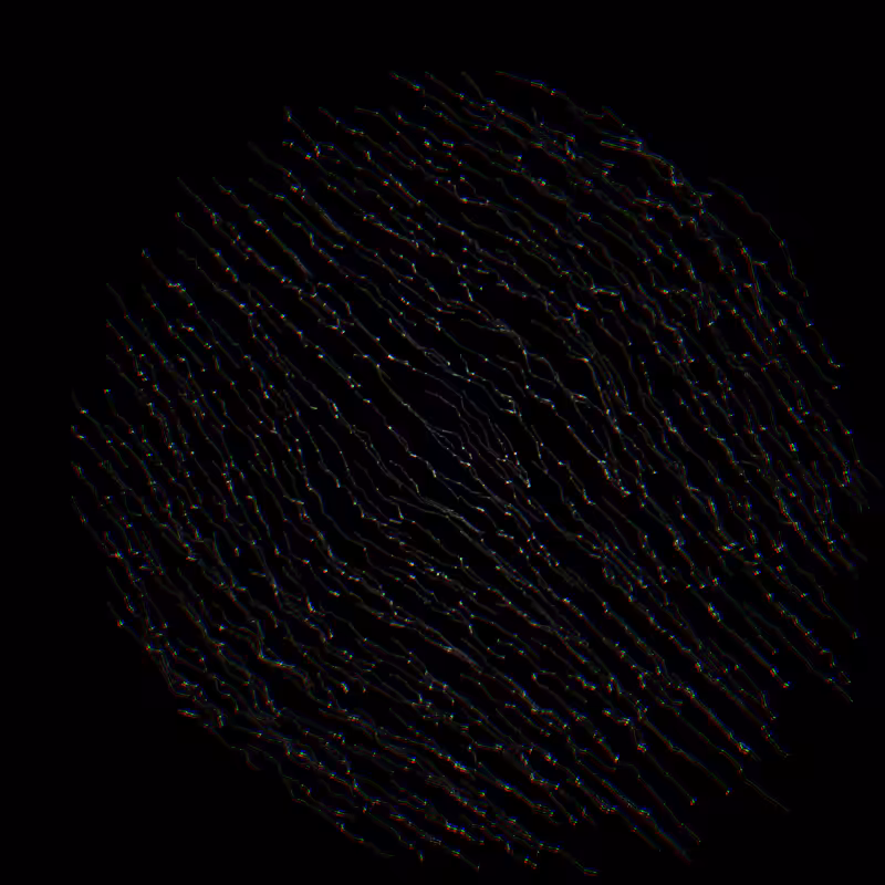 Noisy Circles #3