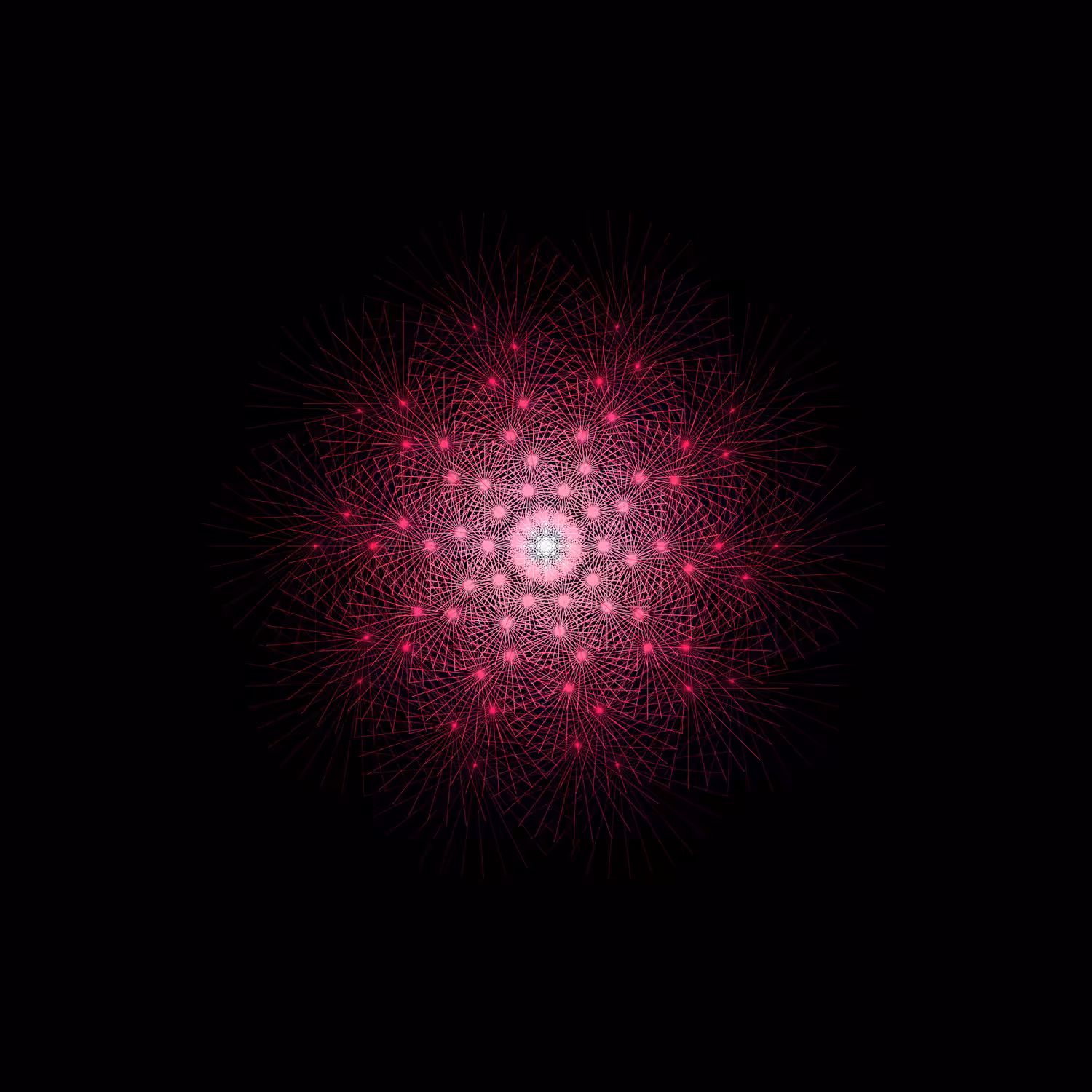 Queen's Blossom