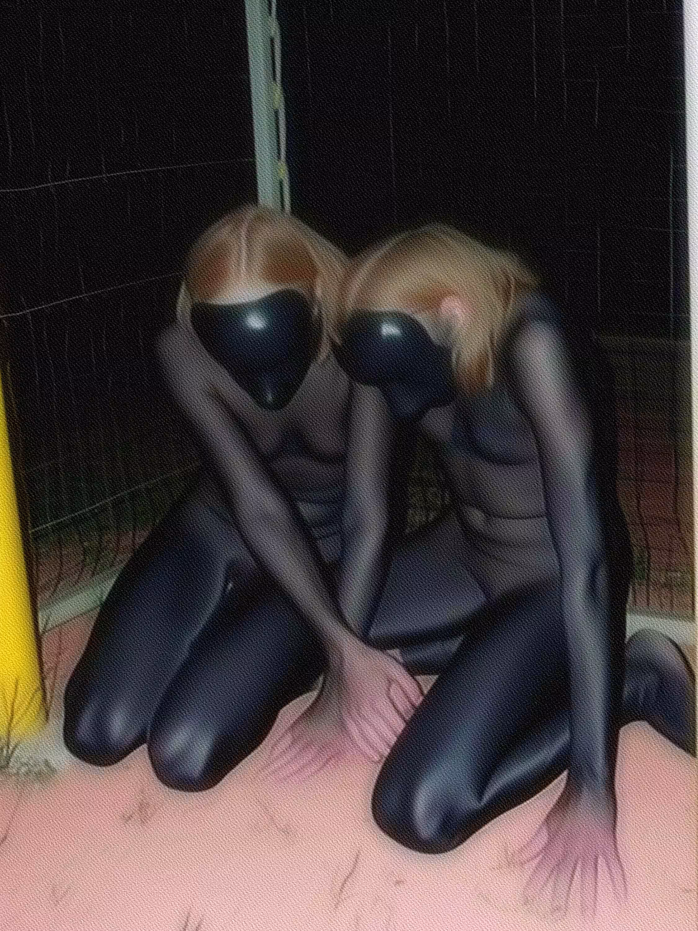 Olga Fedorova - Untitled #44