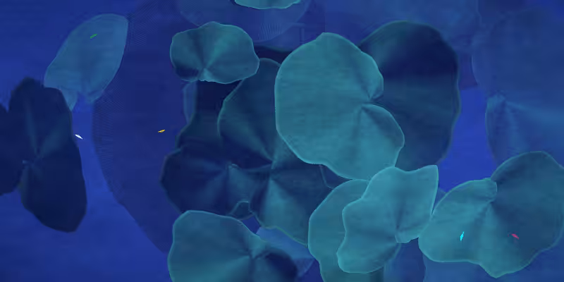 The Restoration Scheme: Reefs #46