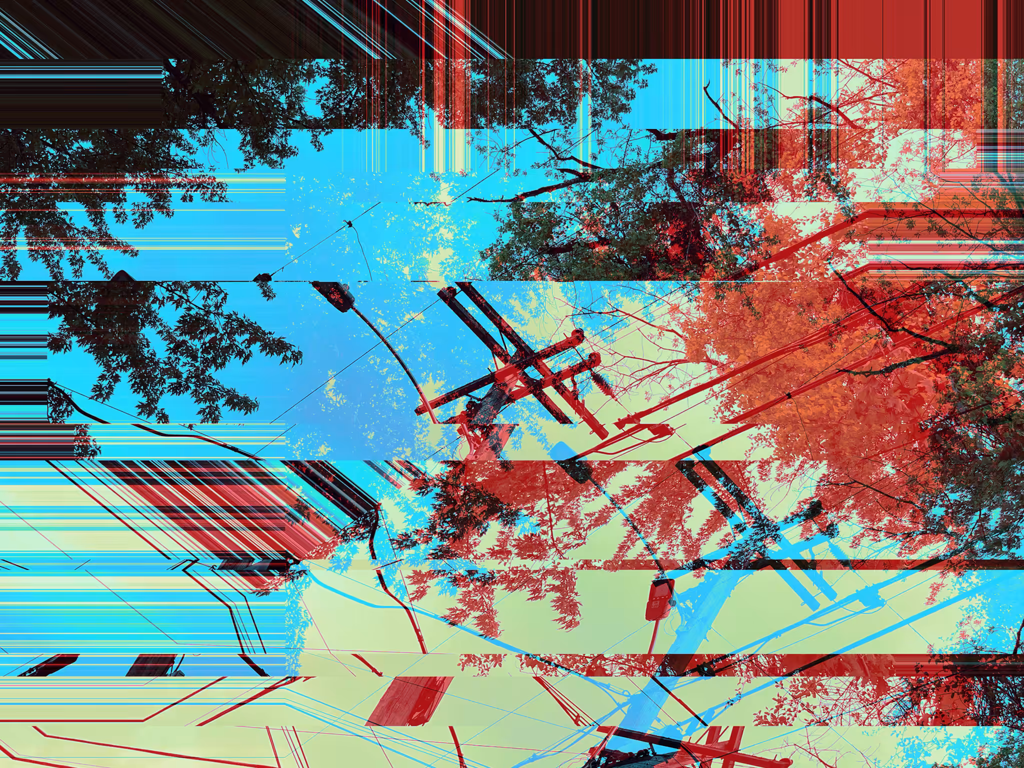 power lines