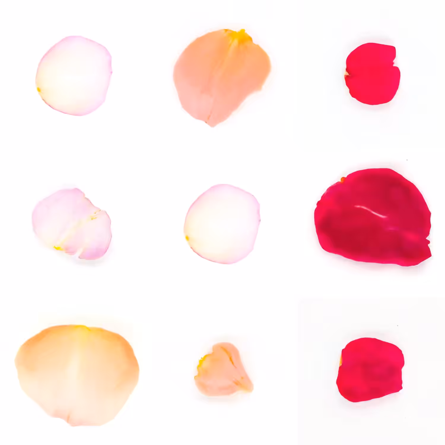 Infinite Petals 3x3#1452