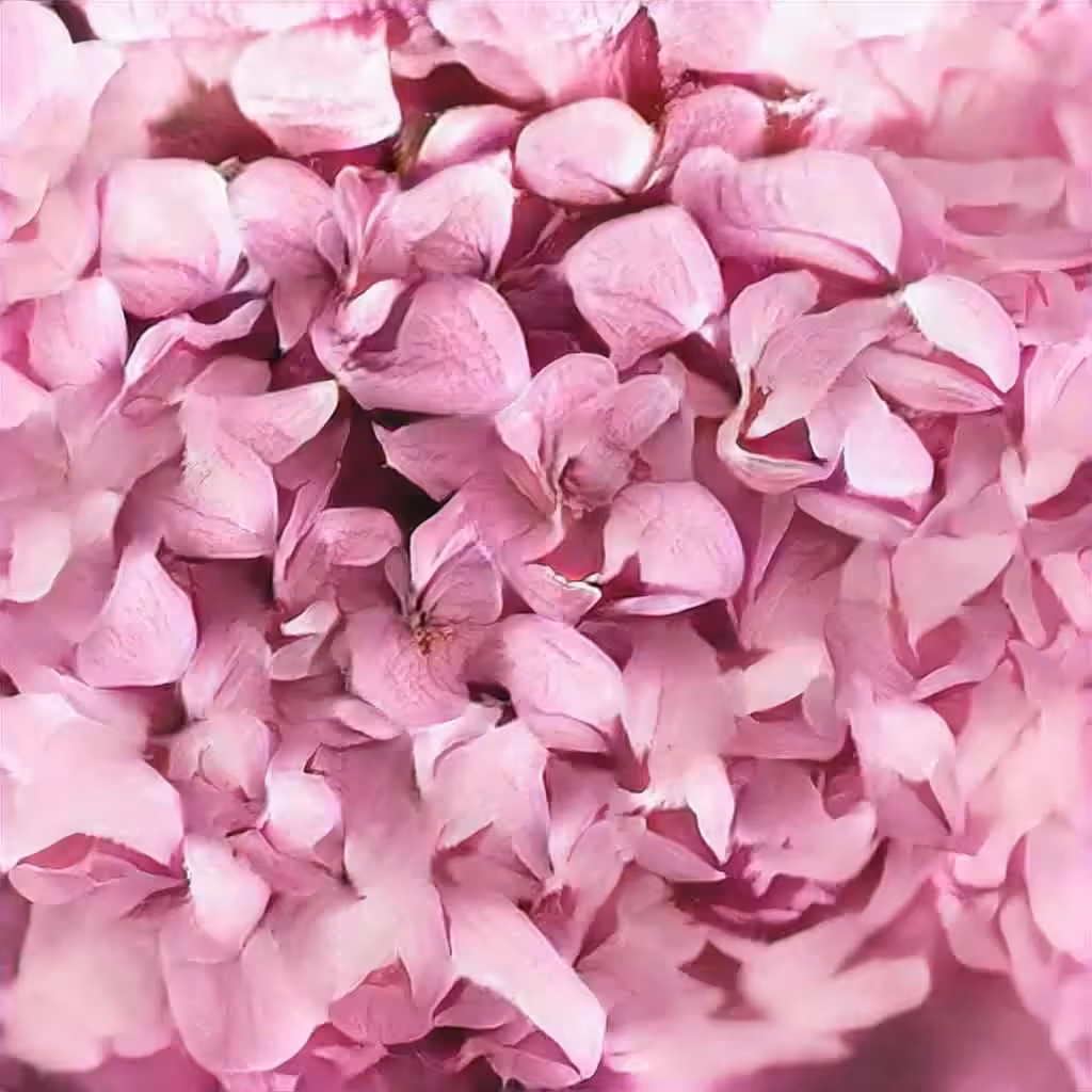 Floral Fantasy, No.4