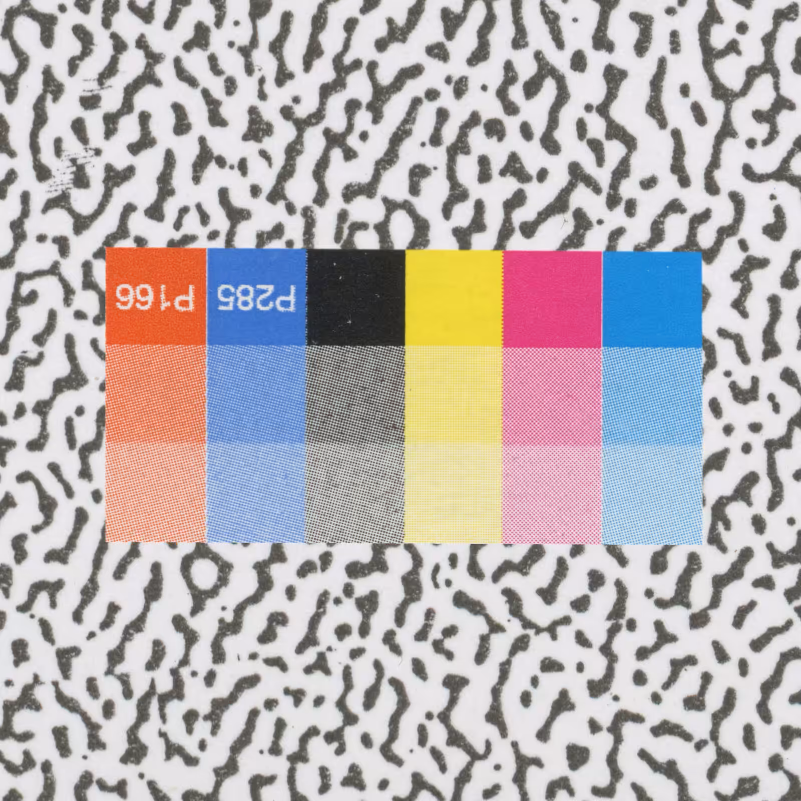 Zen Print 65