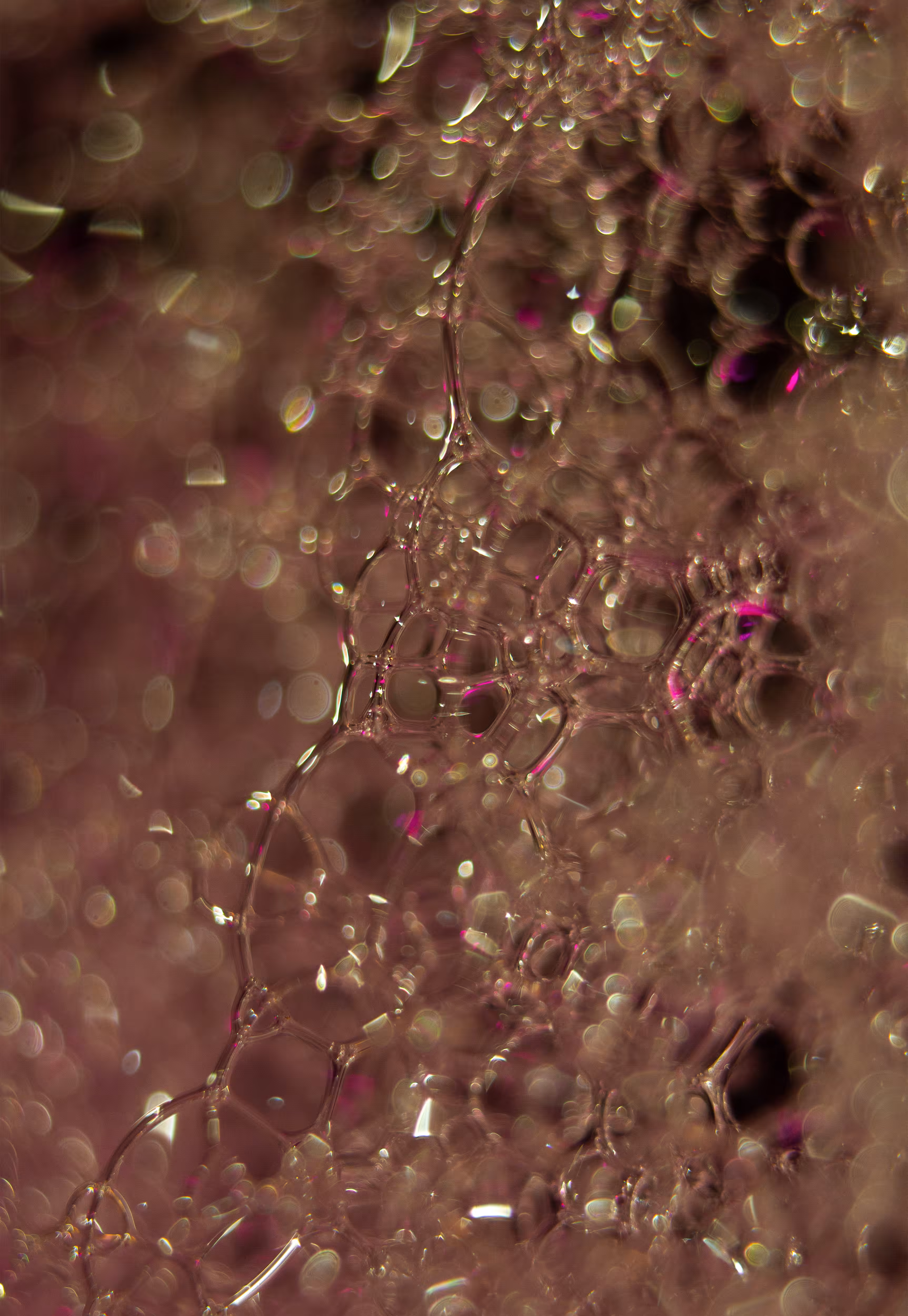 Abstract World of Soap Bubbles: #153 Bubbles