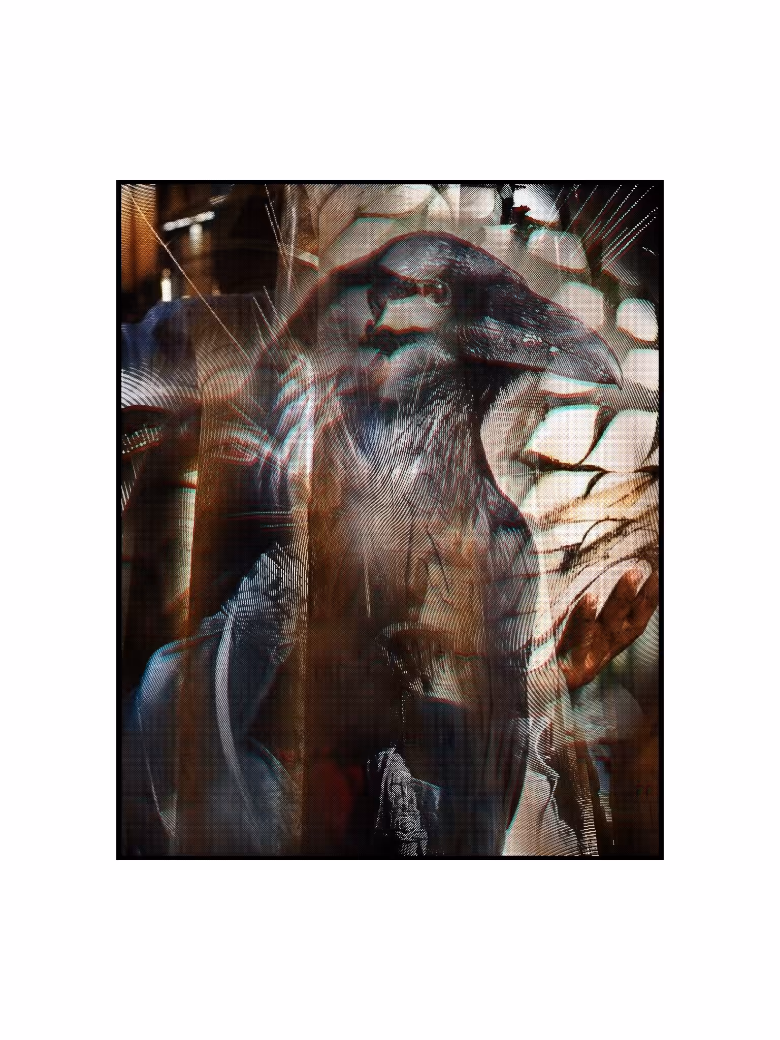 23