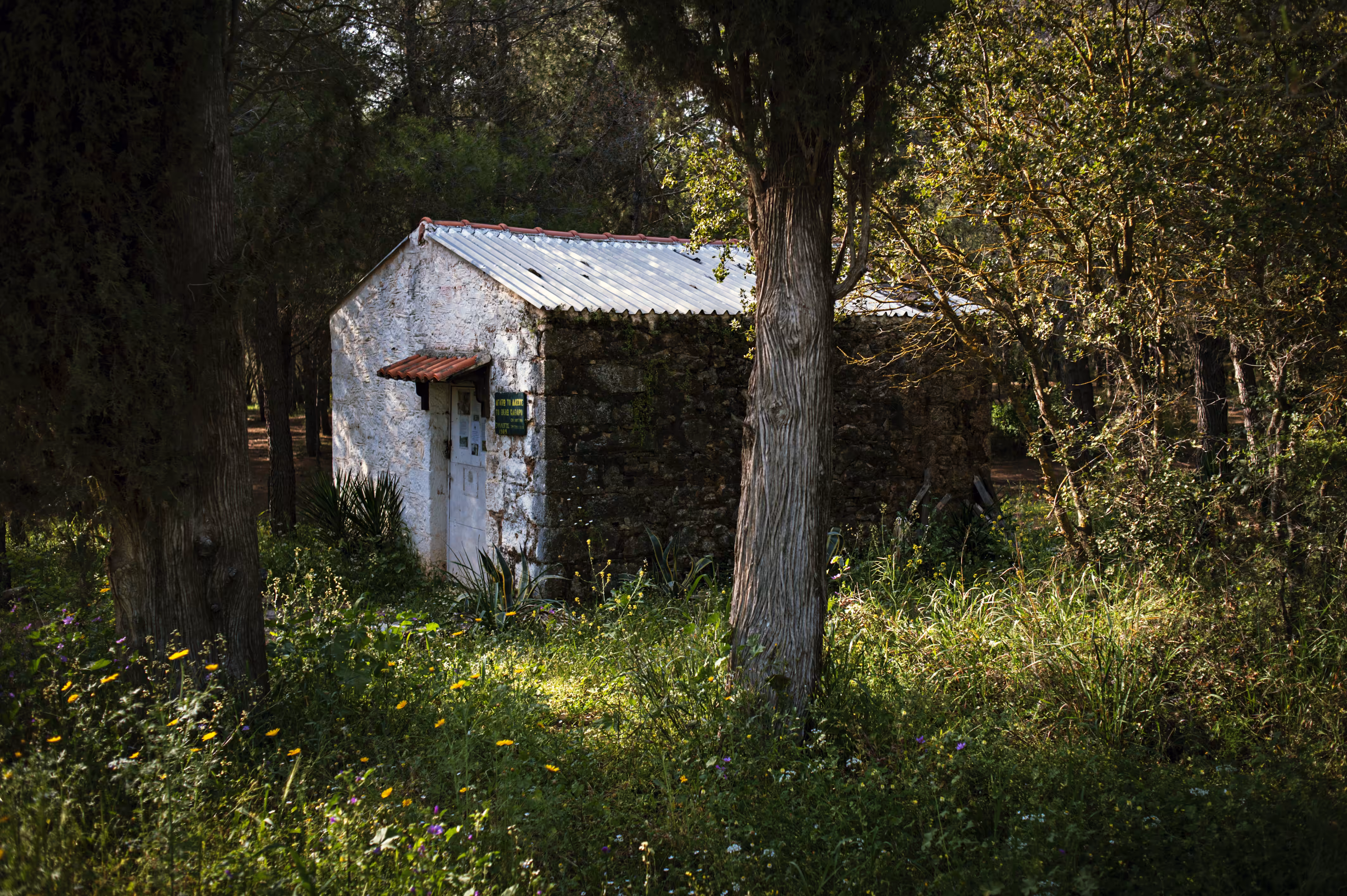 The Little House