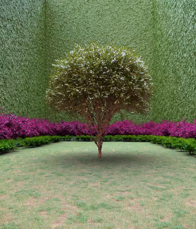 Garden of Imagination #43