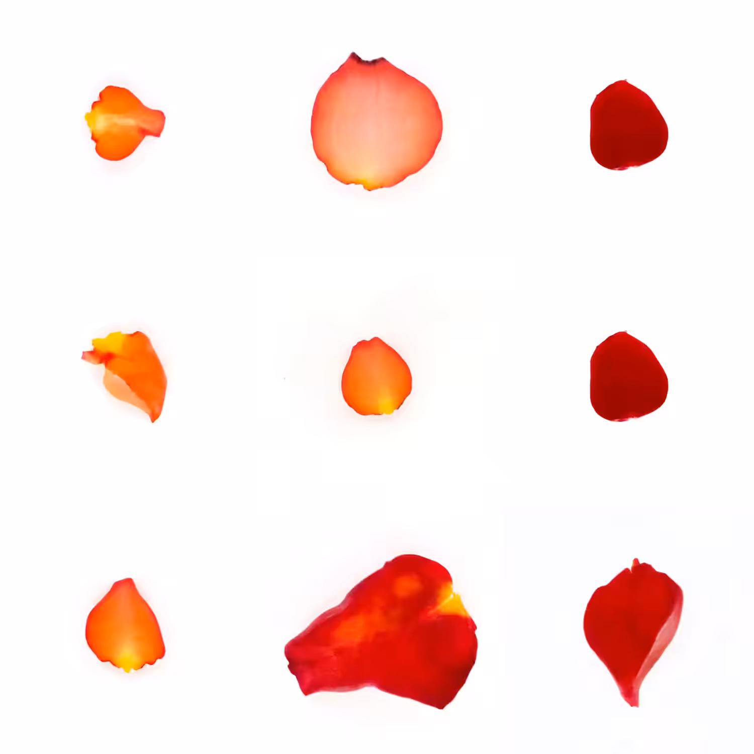 Infinite Petals 3x3#3468