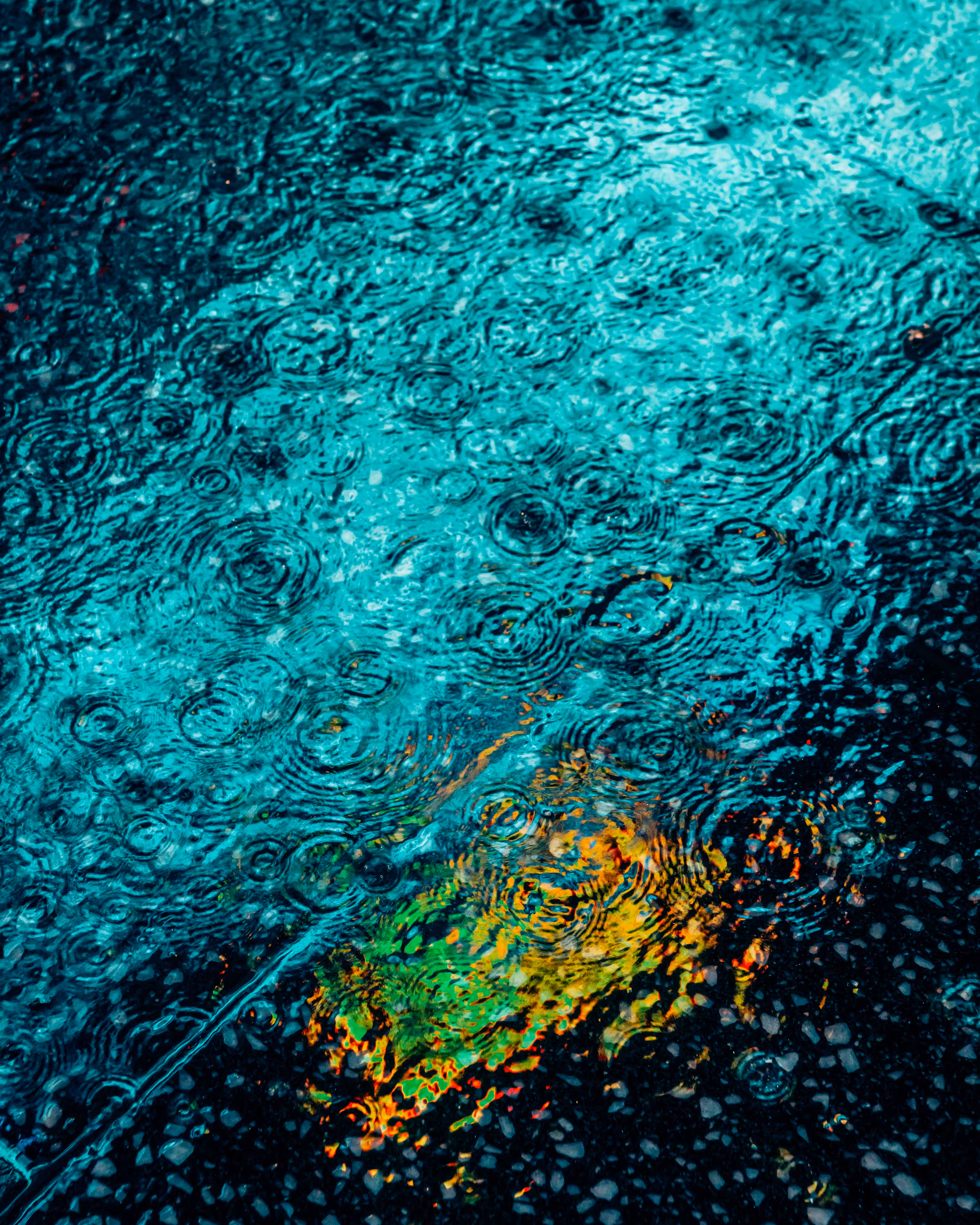 DRIP DROP: DRIP #775