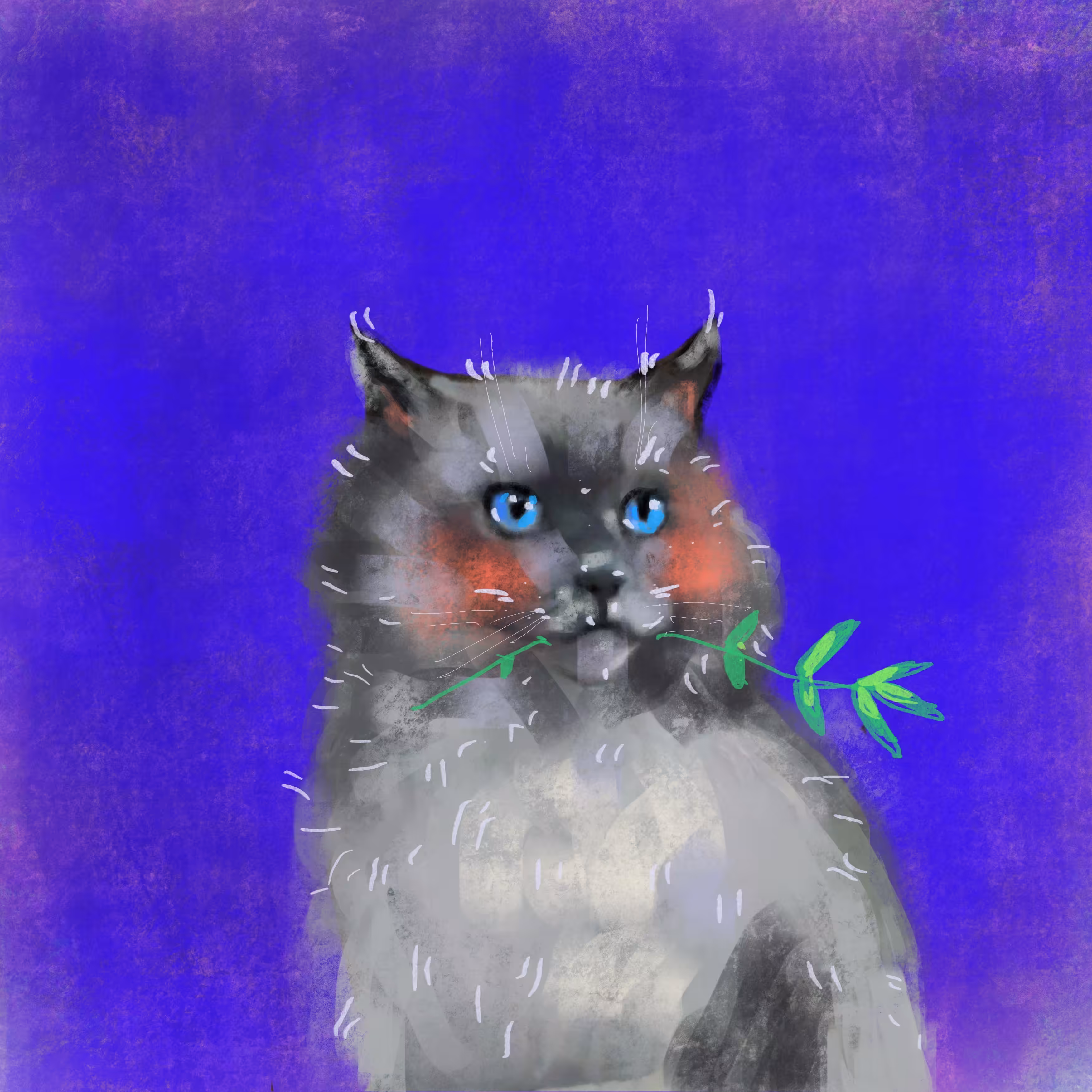 #29 Sweet Kitty