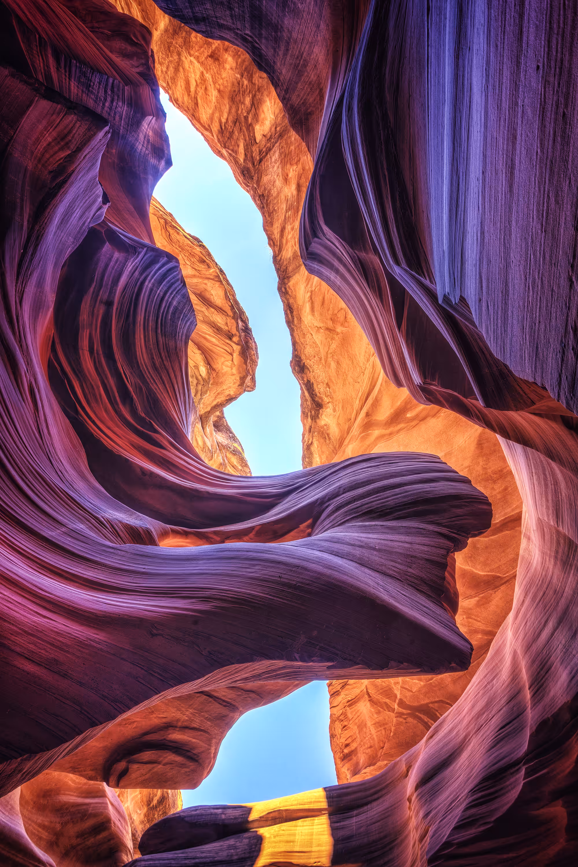 The Antelope Presence