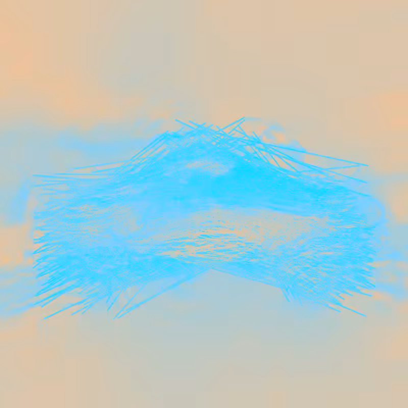 xxf #2