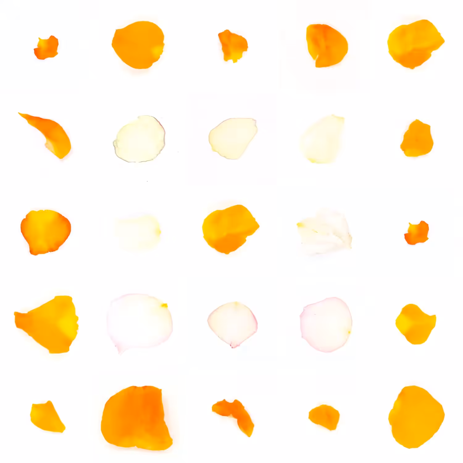 Infinite Petals 5x5#168