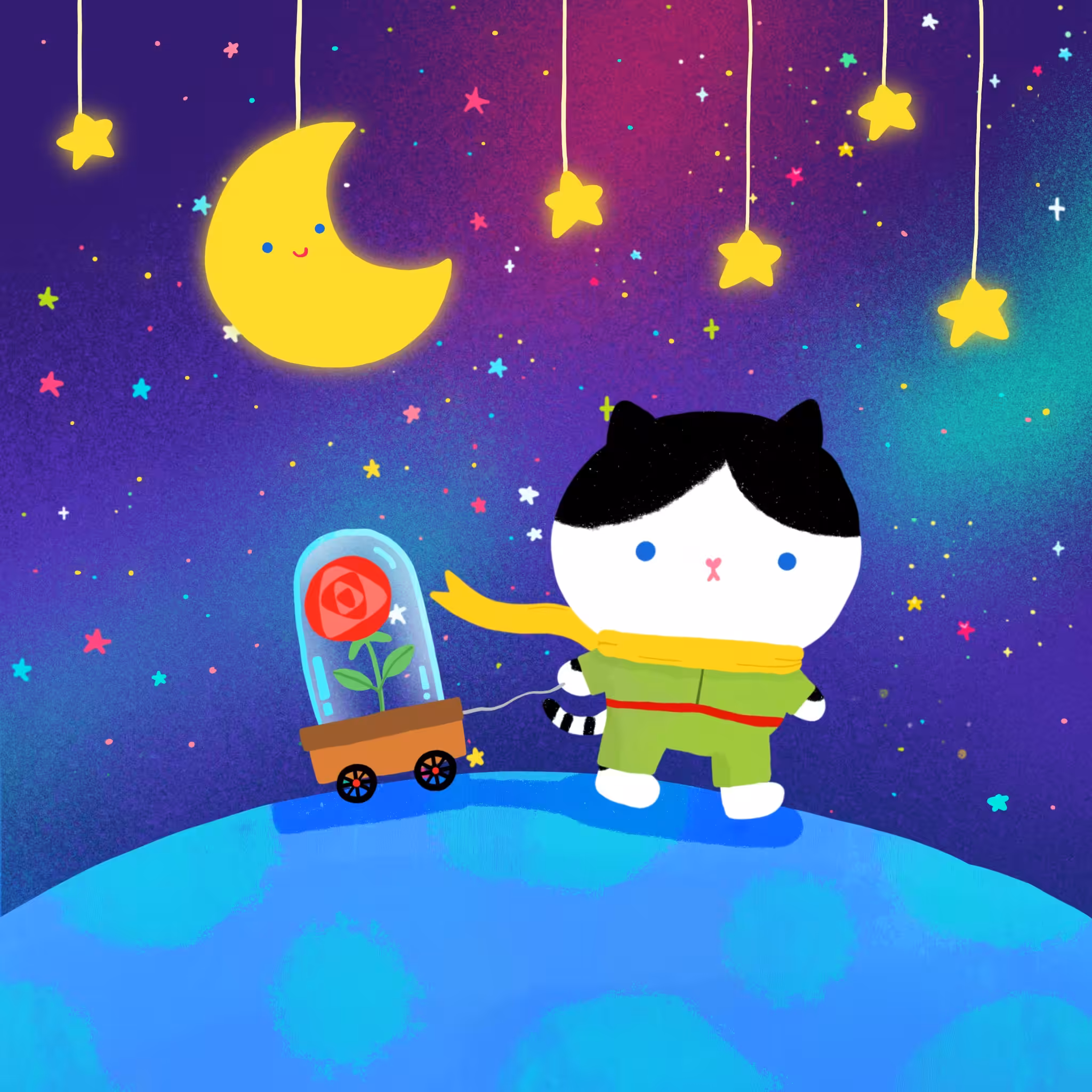 The little cat