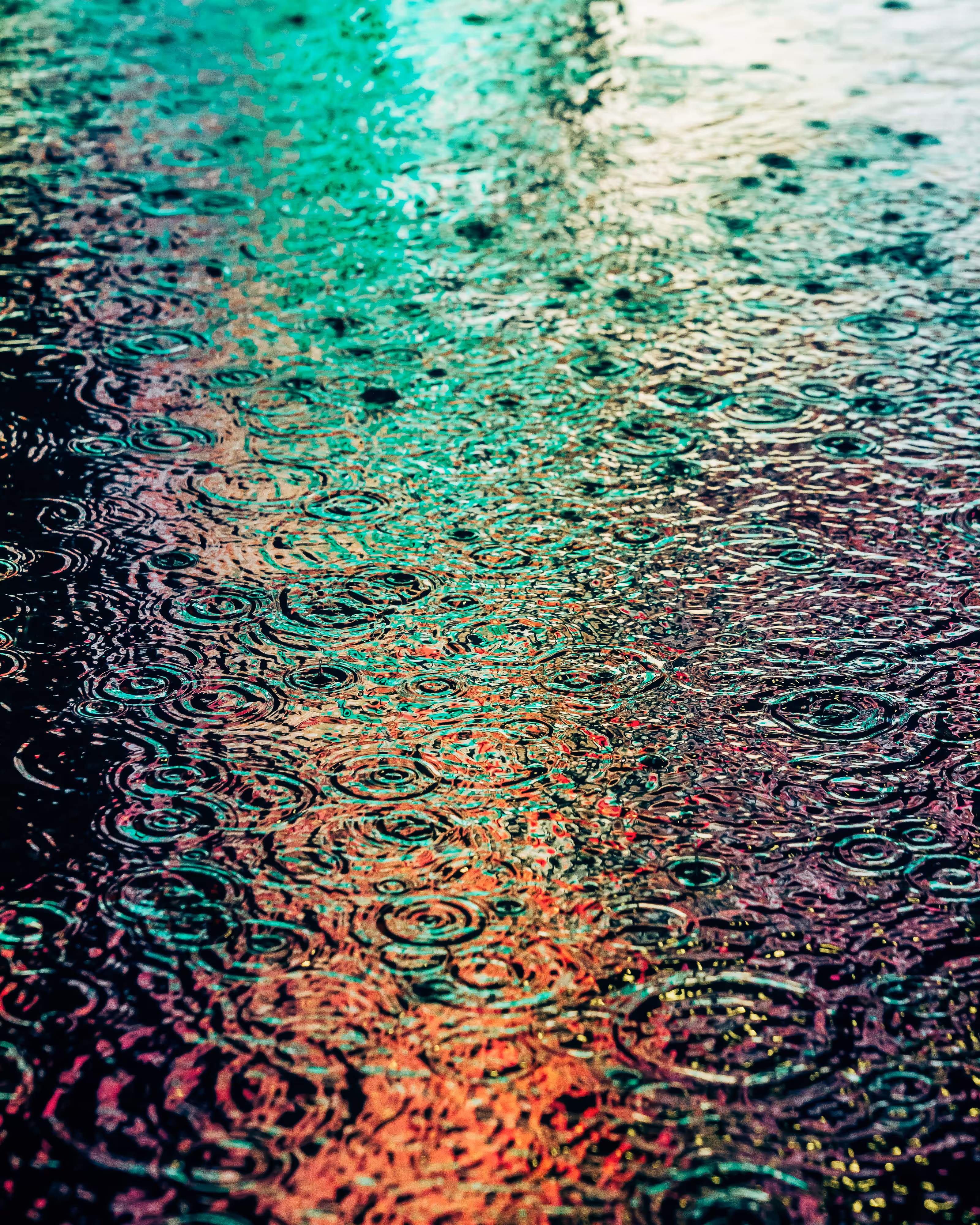 DRIP DROP: DRIP #50