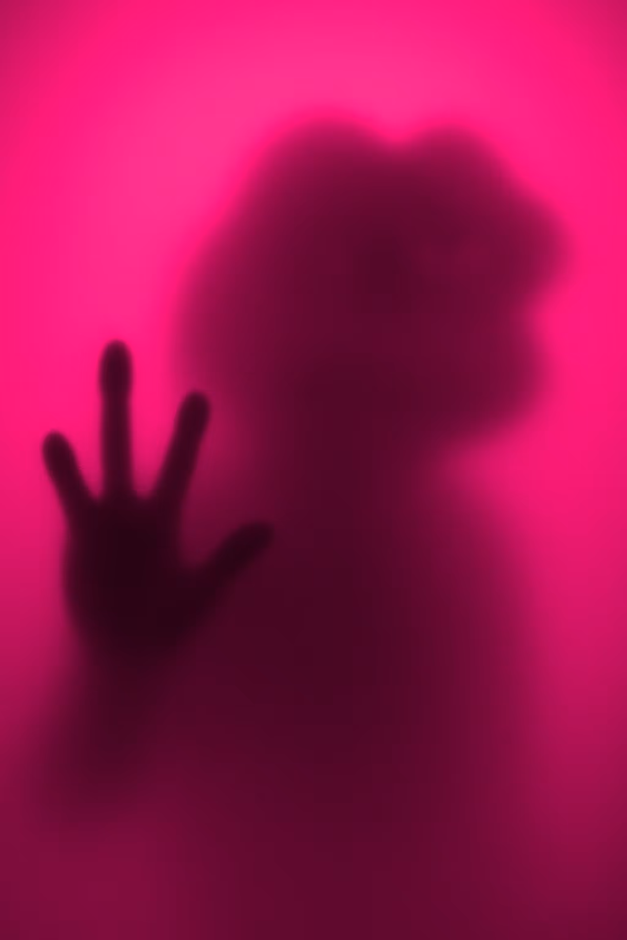 Arrival (The Rose Edition)