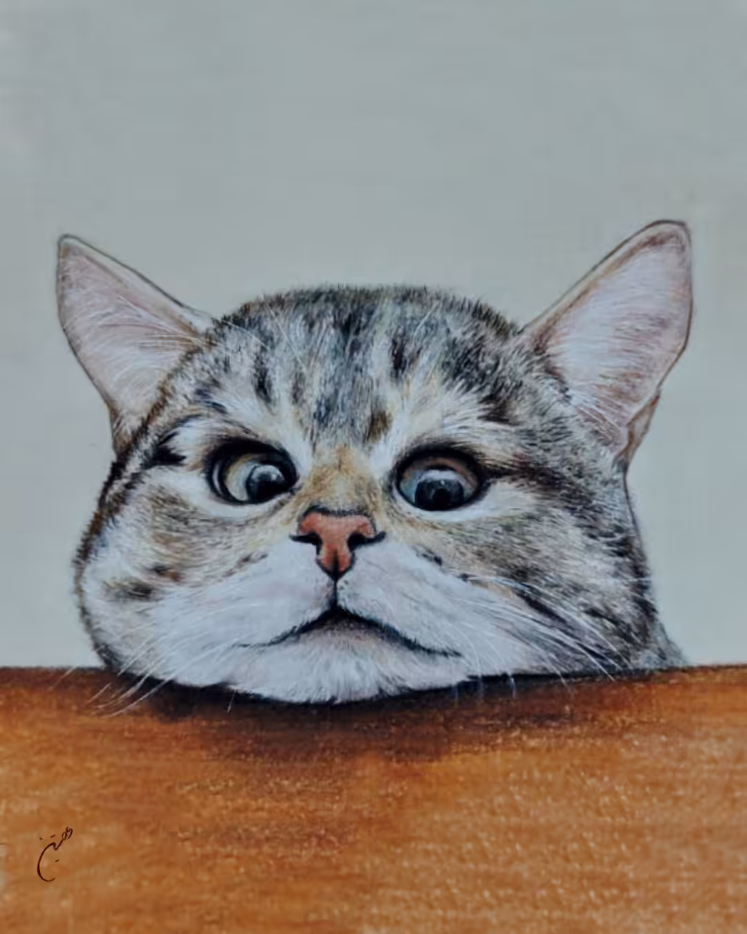 Naughty cat