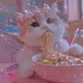 Cat <3 Noodles