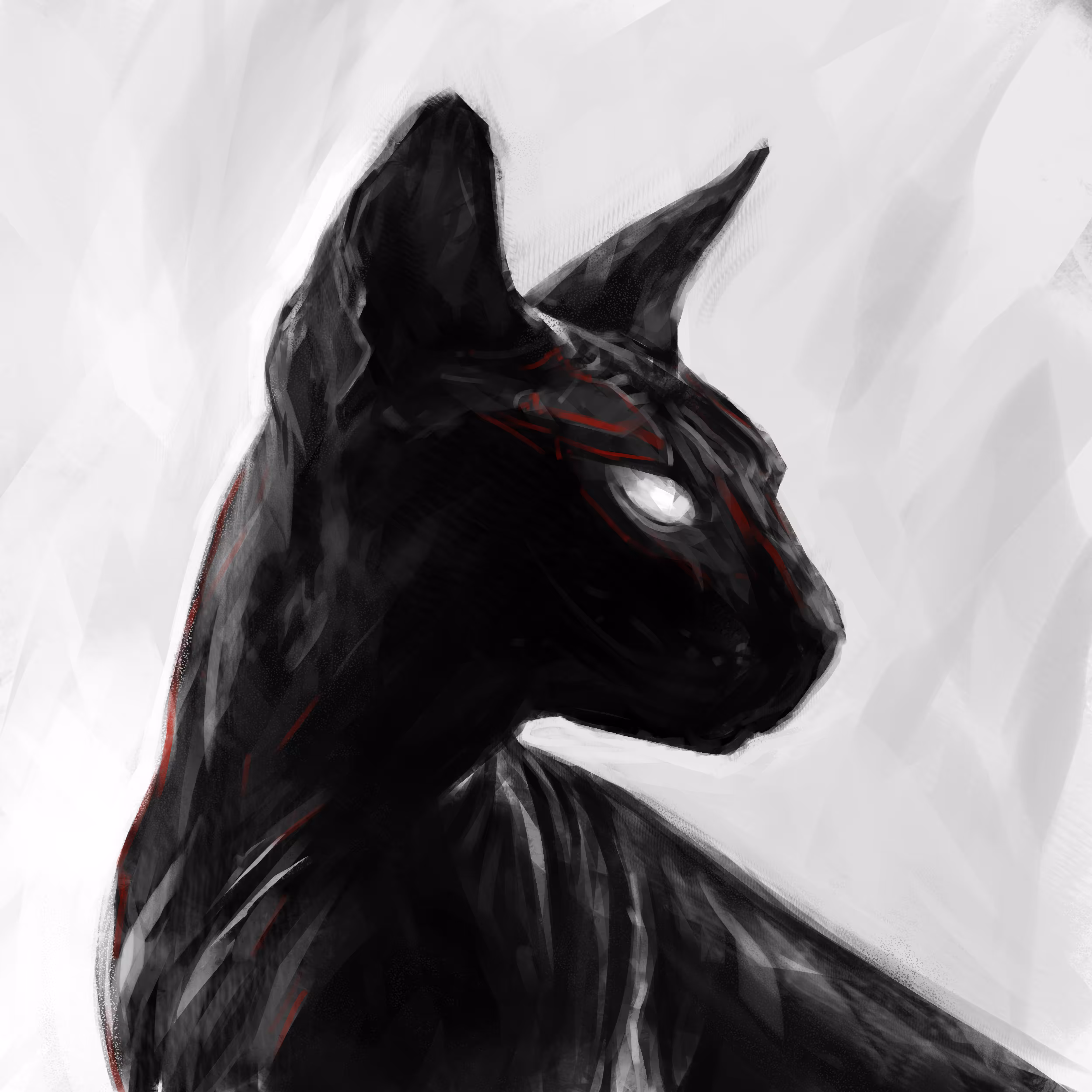Enigma