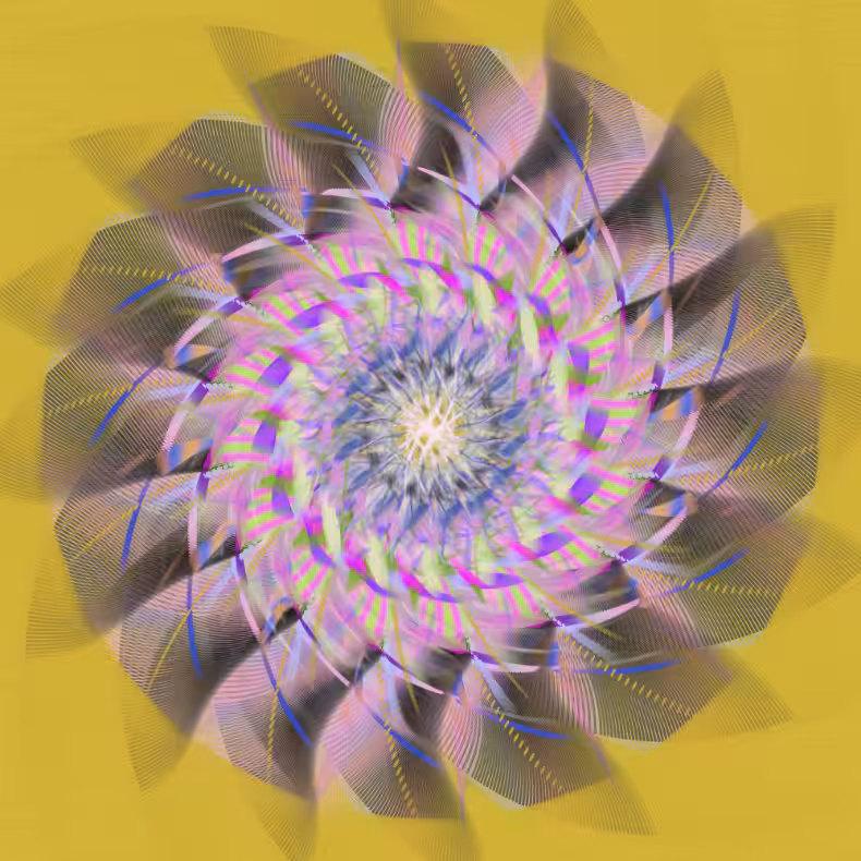 Slow Bloom #13