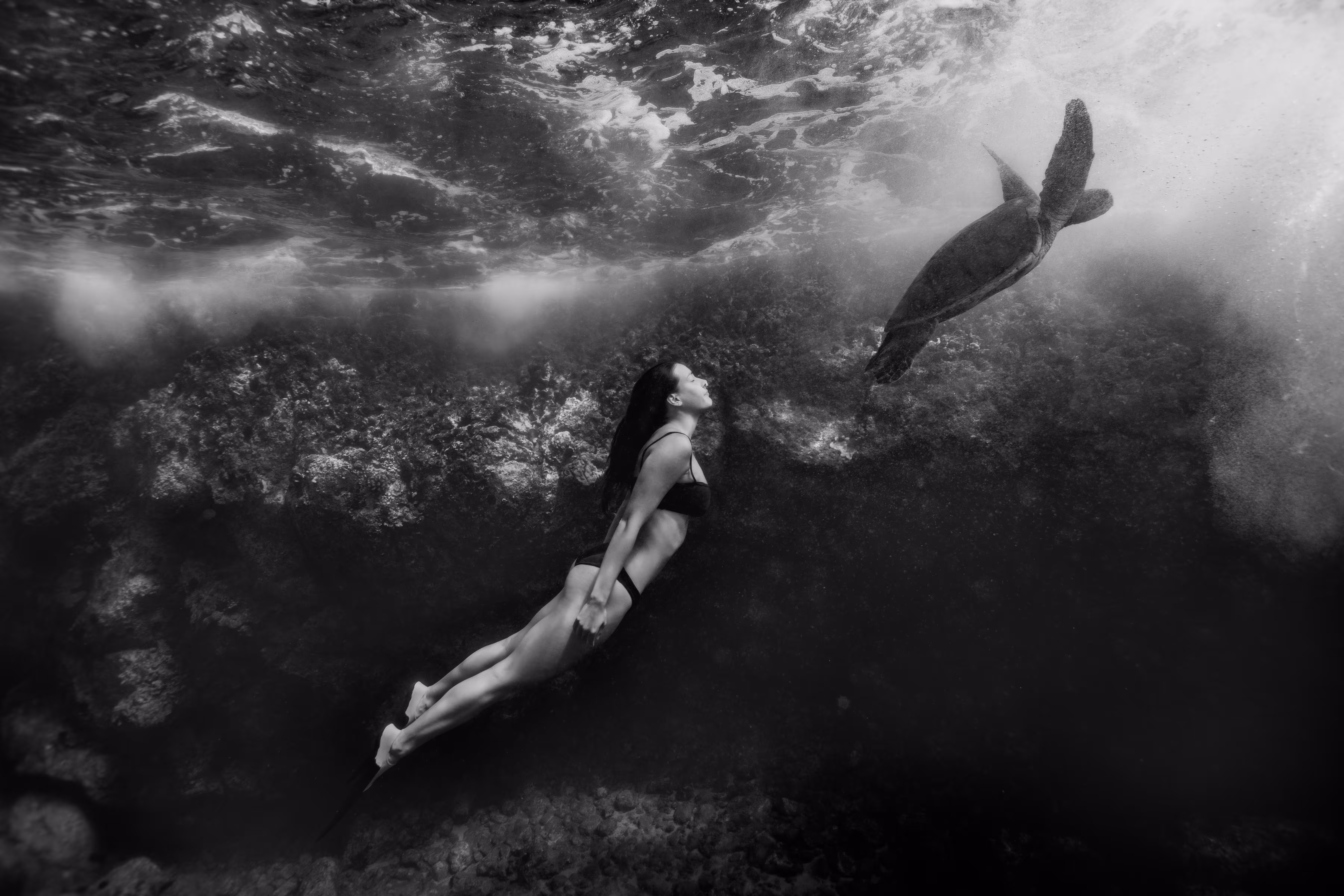 Emergence (B&W)